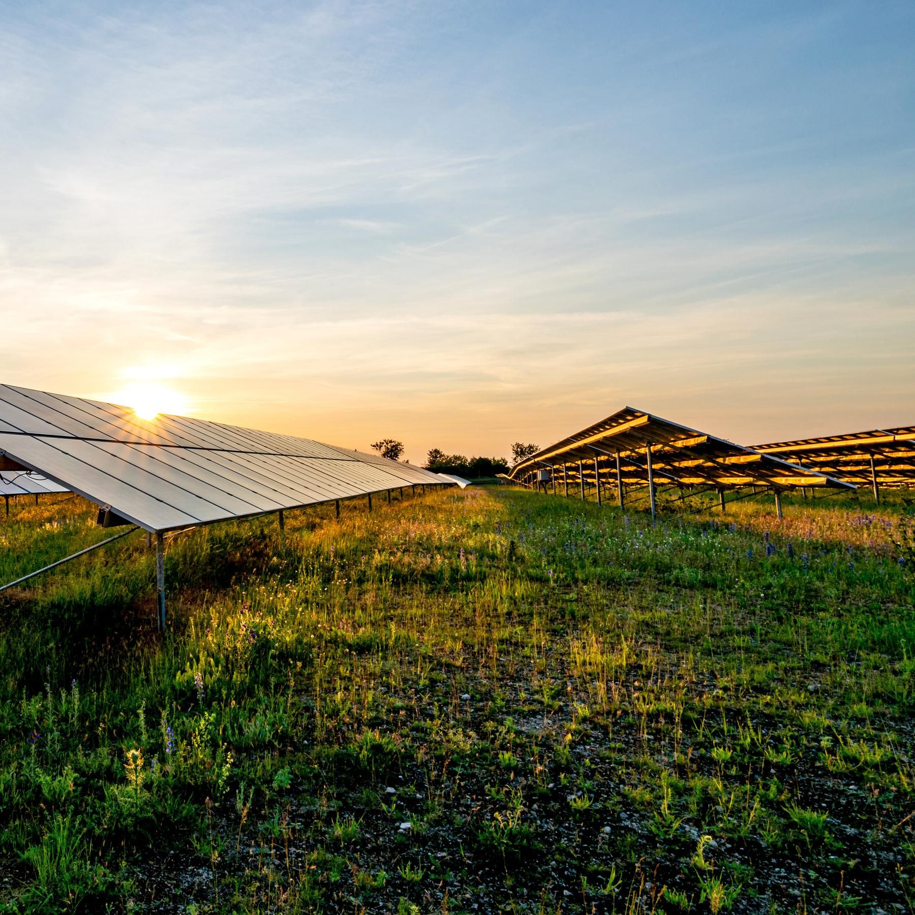 Deutscher Solarboom - made in China