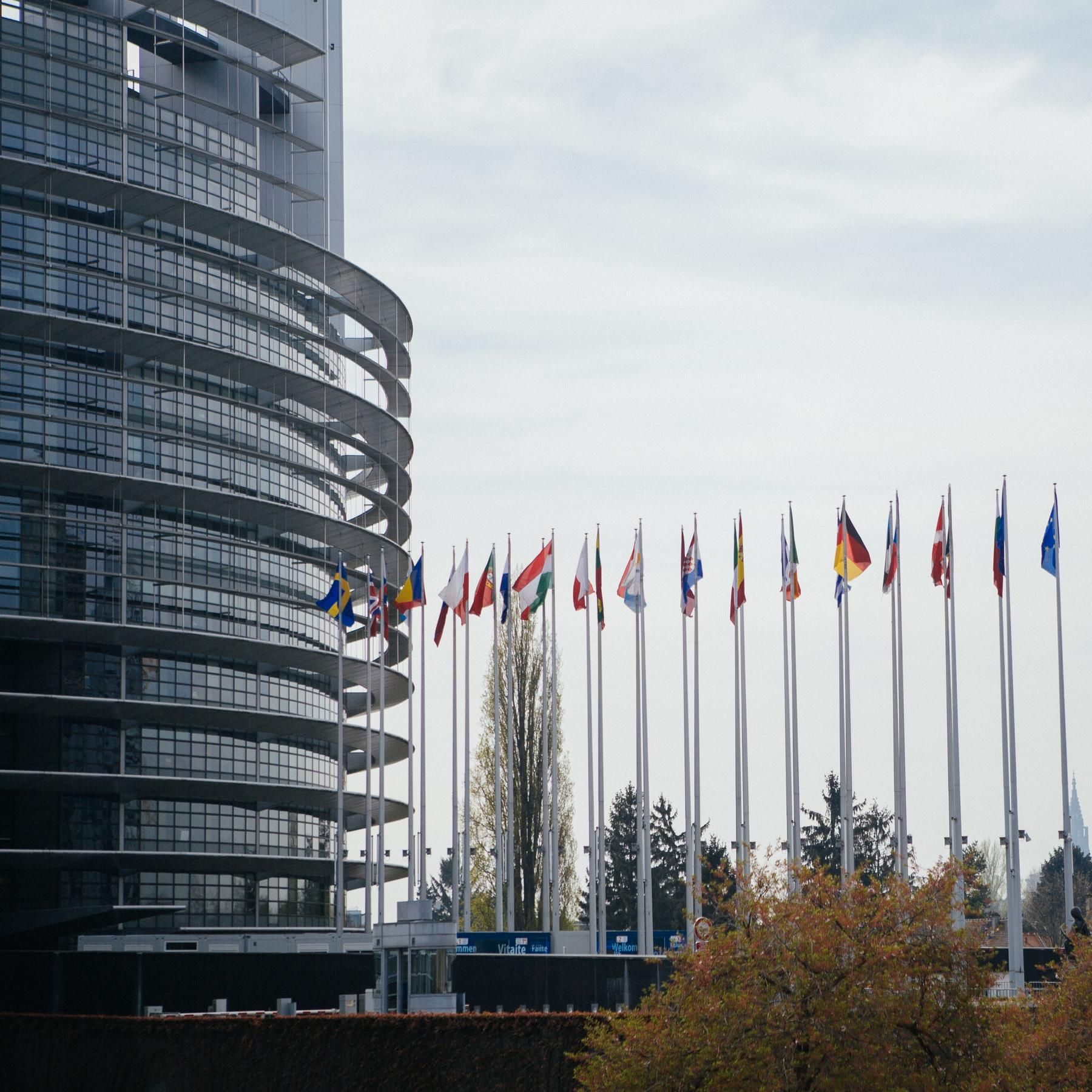 "Grilling" in Brüssel: EP hört designierte EU-Kommissare an