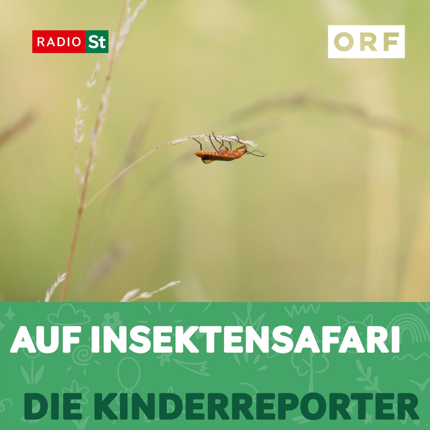 Auf Insektensafari