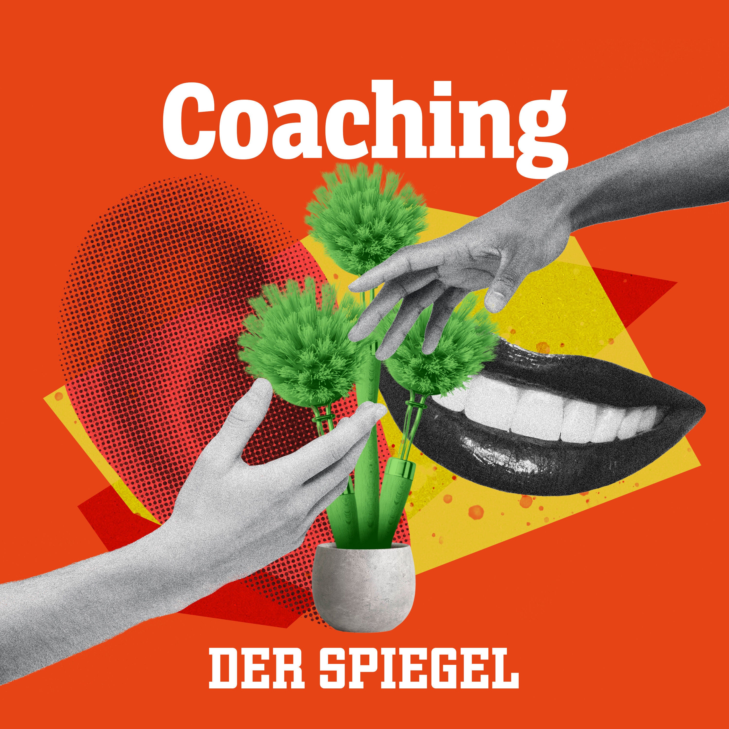Warum eigentlich? - Ziele erreichen (1/8)