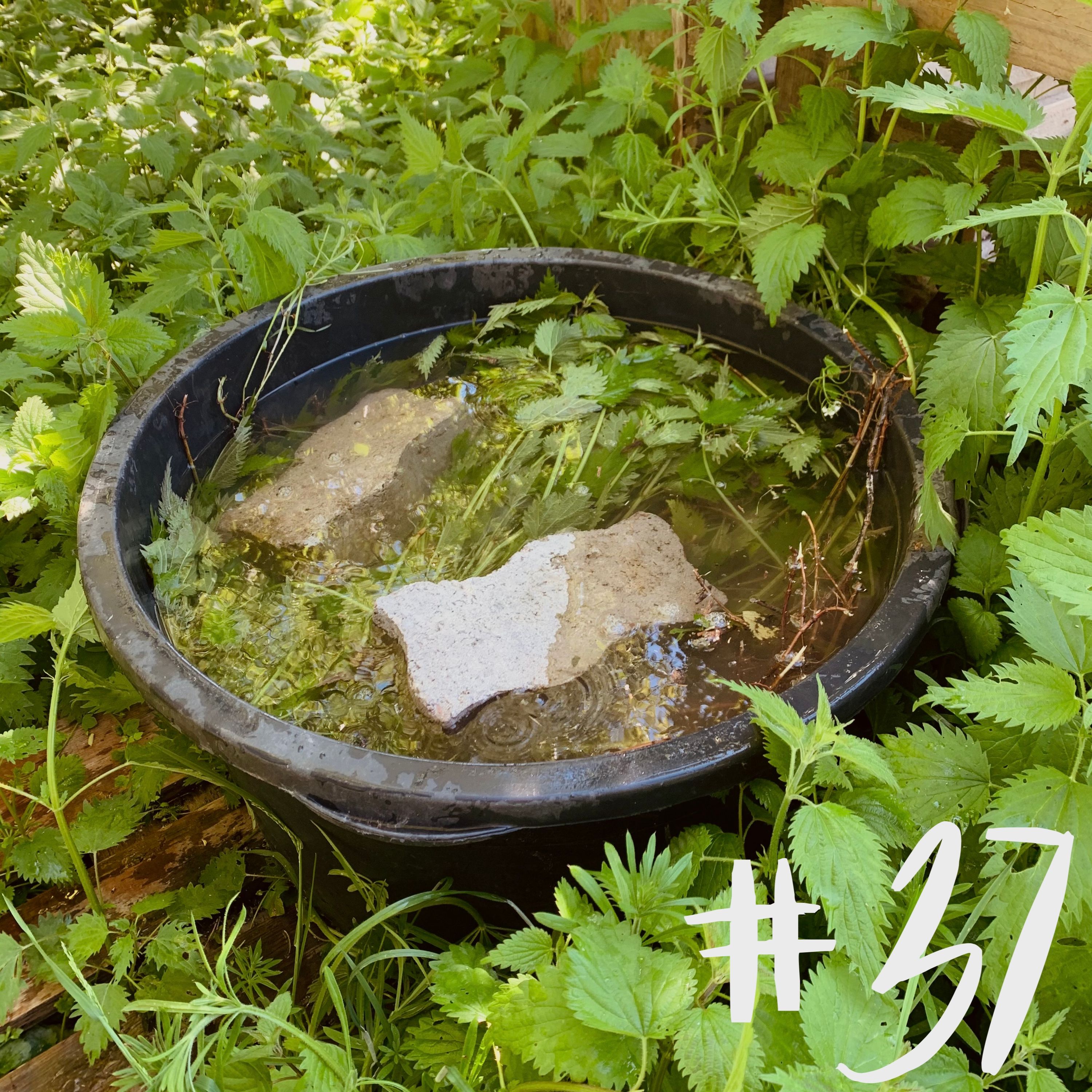 #37 - Thema der Stunde: Düngen