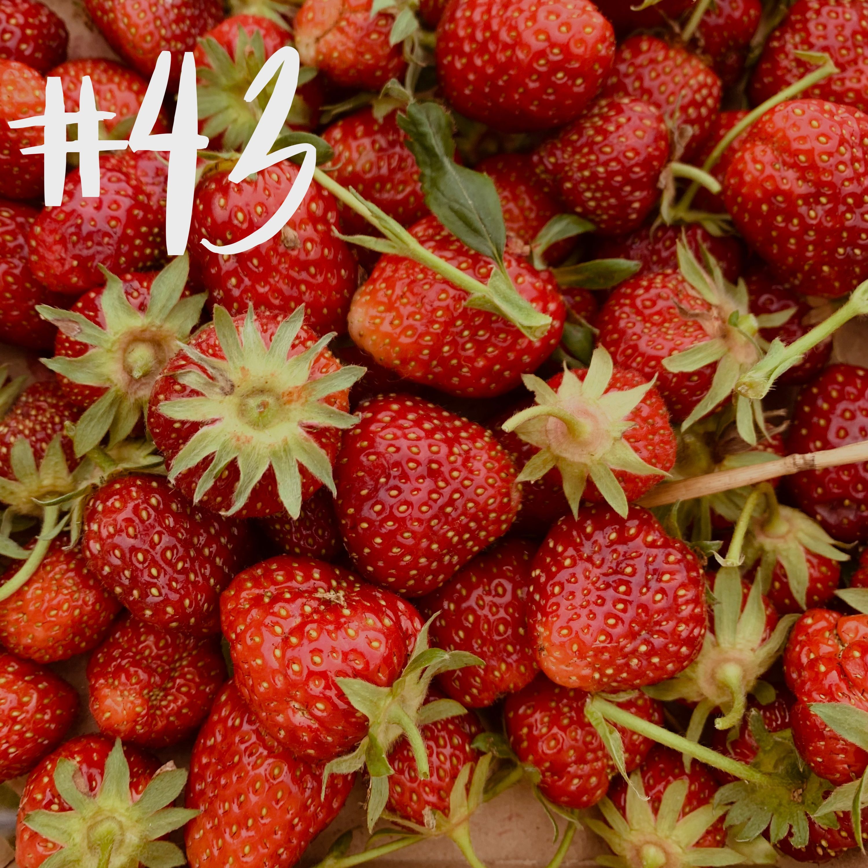 #43 - Erdbeere & Haselnuss