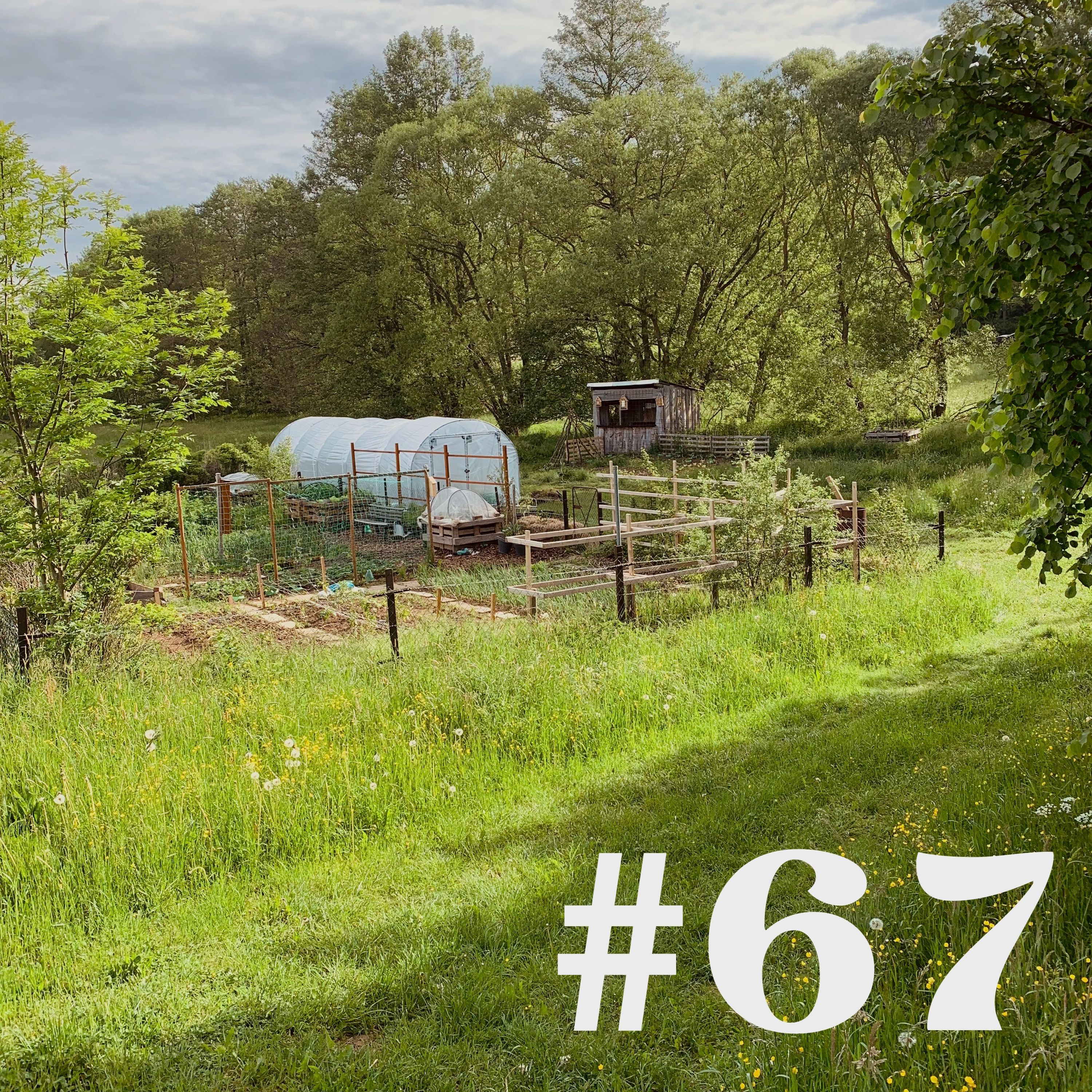 #67 - Rundgang im Garten Ede