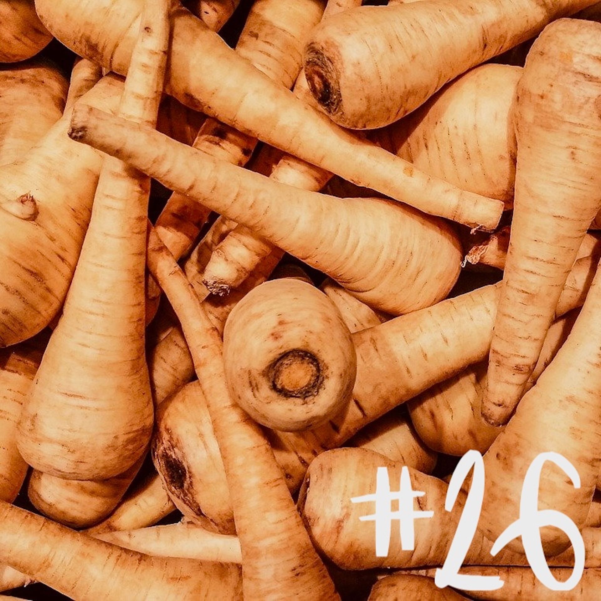 #26 - Pastinake & Sommer-Flieder