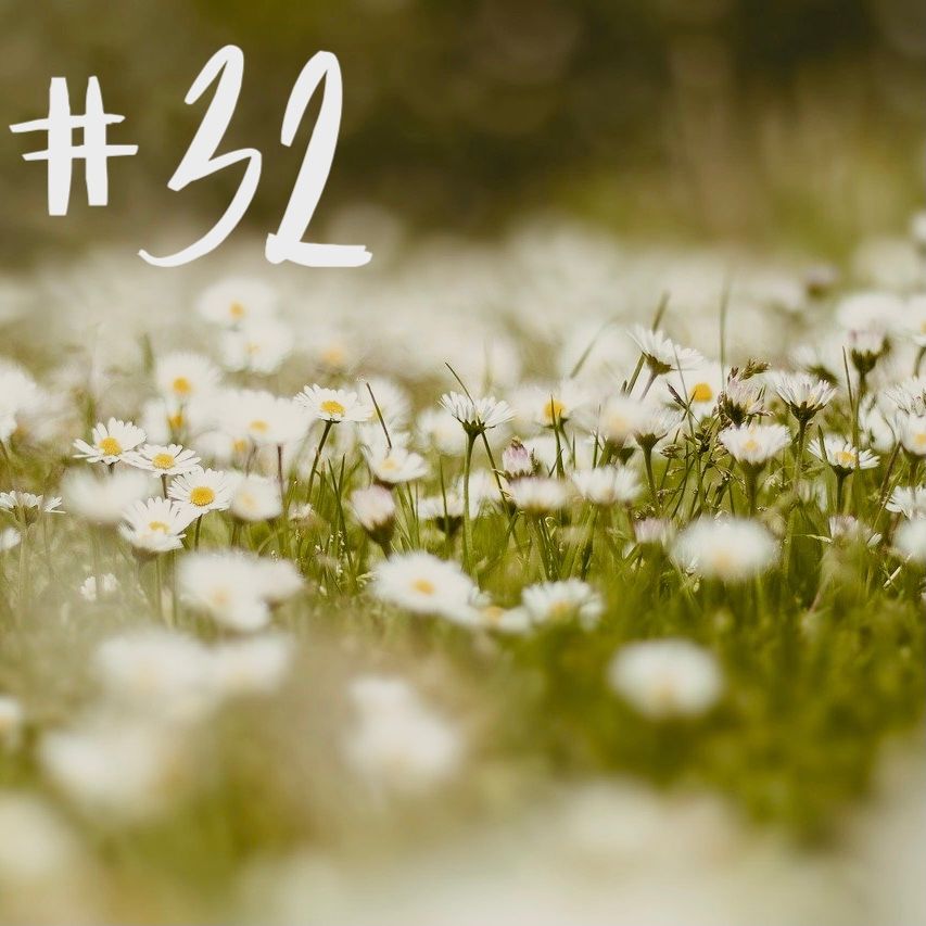 #32 - Kohl & Gänseblümchen