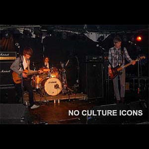 Interview mit NO CULTURE ICONS
