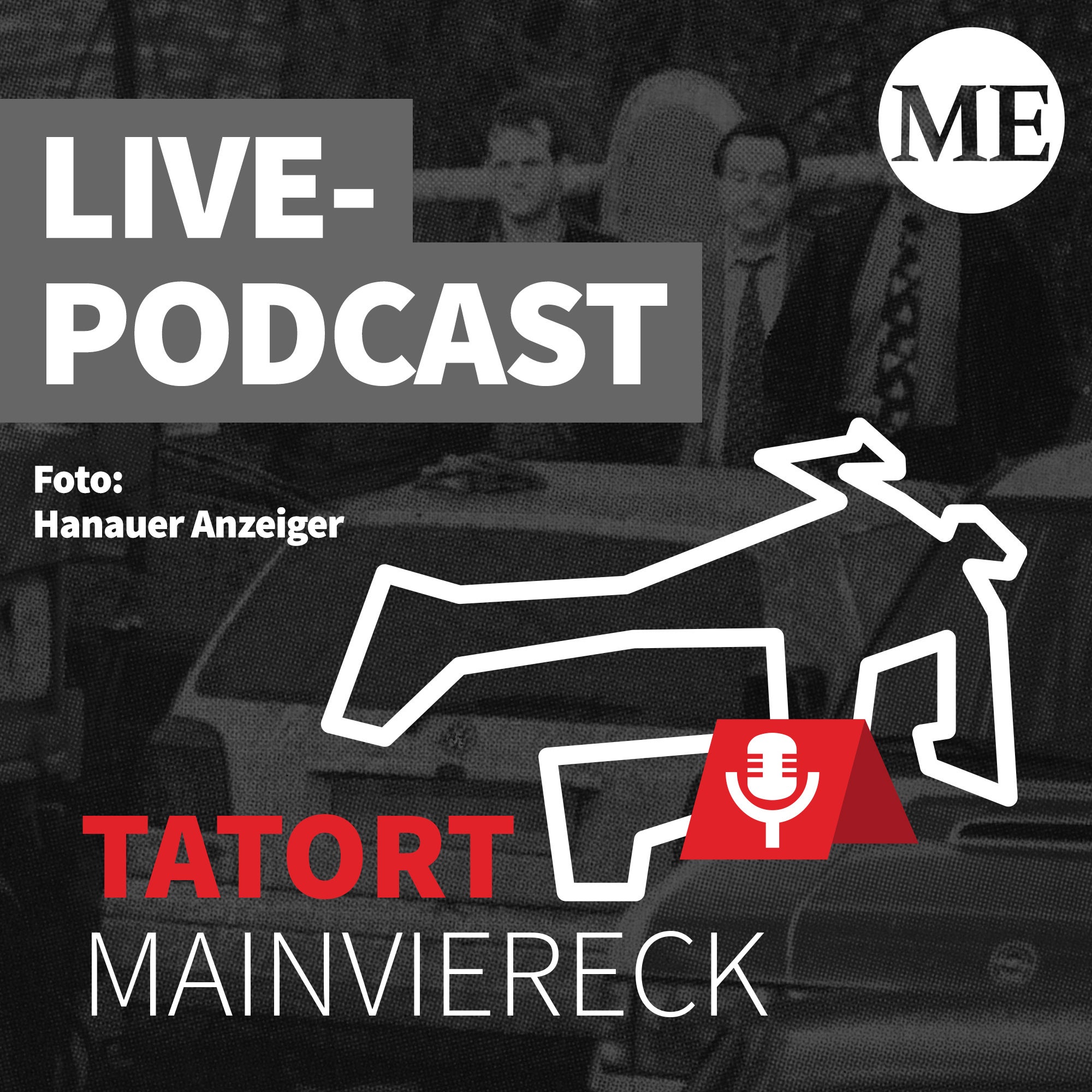 Im eigenen Auto im Main versenkt: Ein Mord wie aus dem Mafia-Film