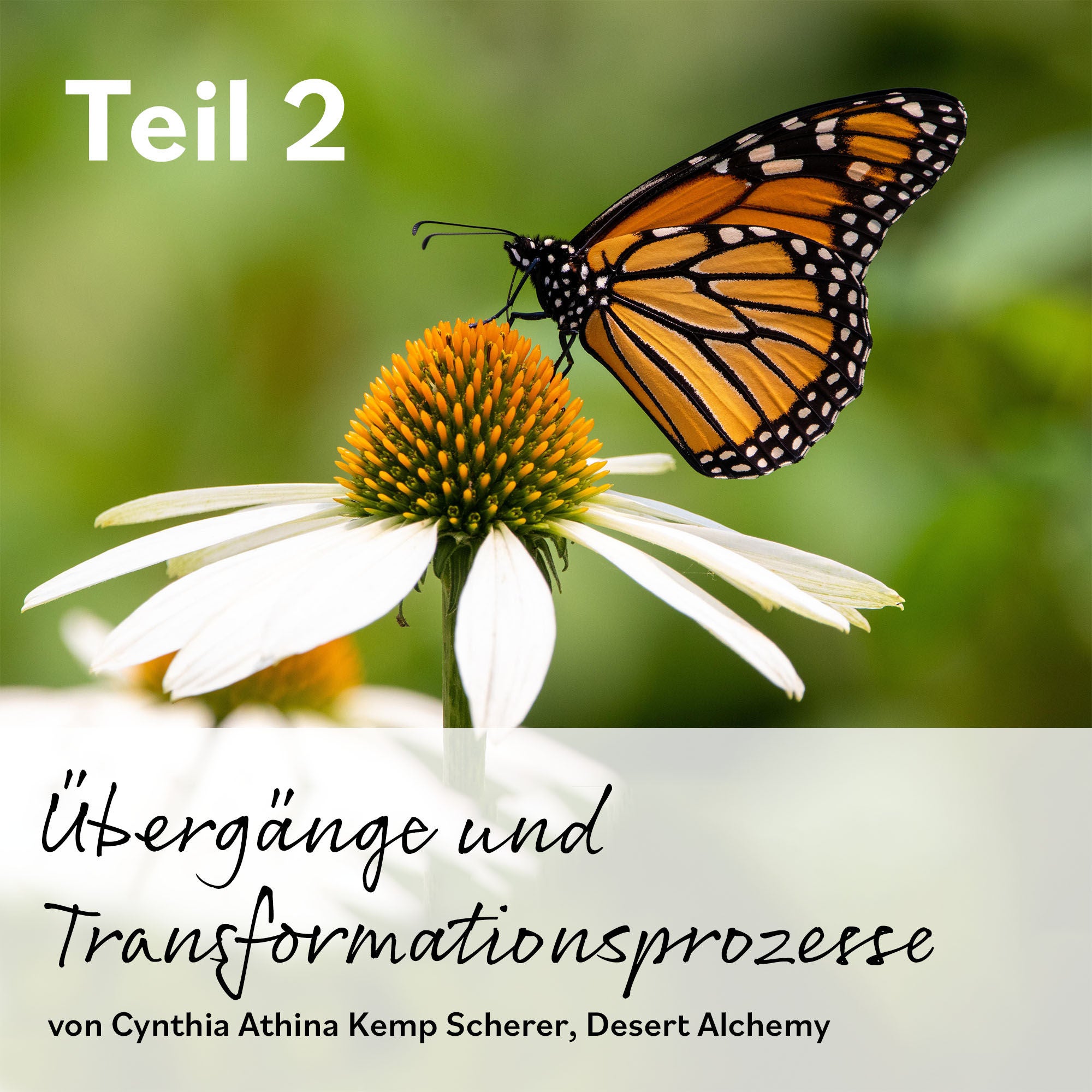 Übergänge und Transformationsprozesse – Teil 2