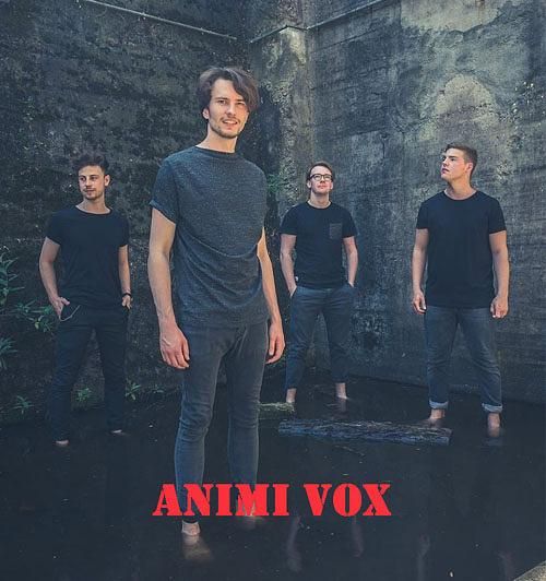 Interview mit ANIMI VOX