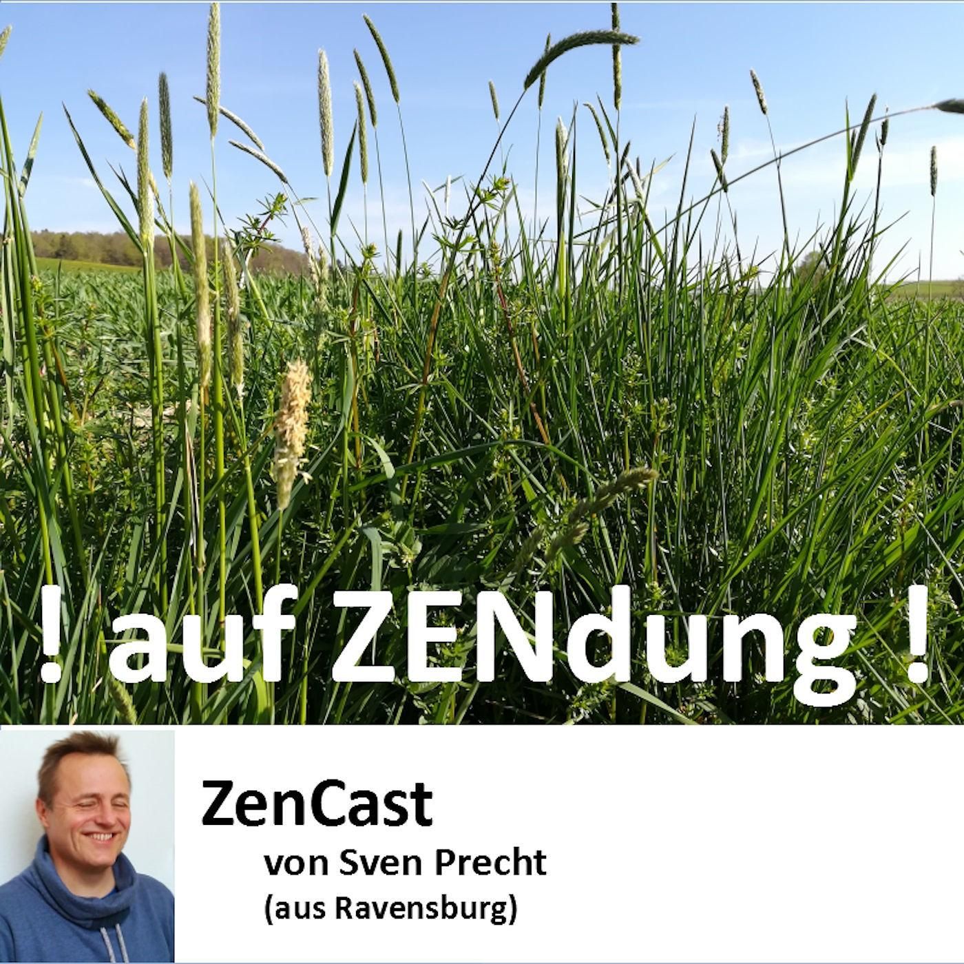 ! on ZENdung ! 2-16 (Menschsein)