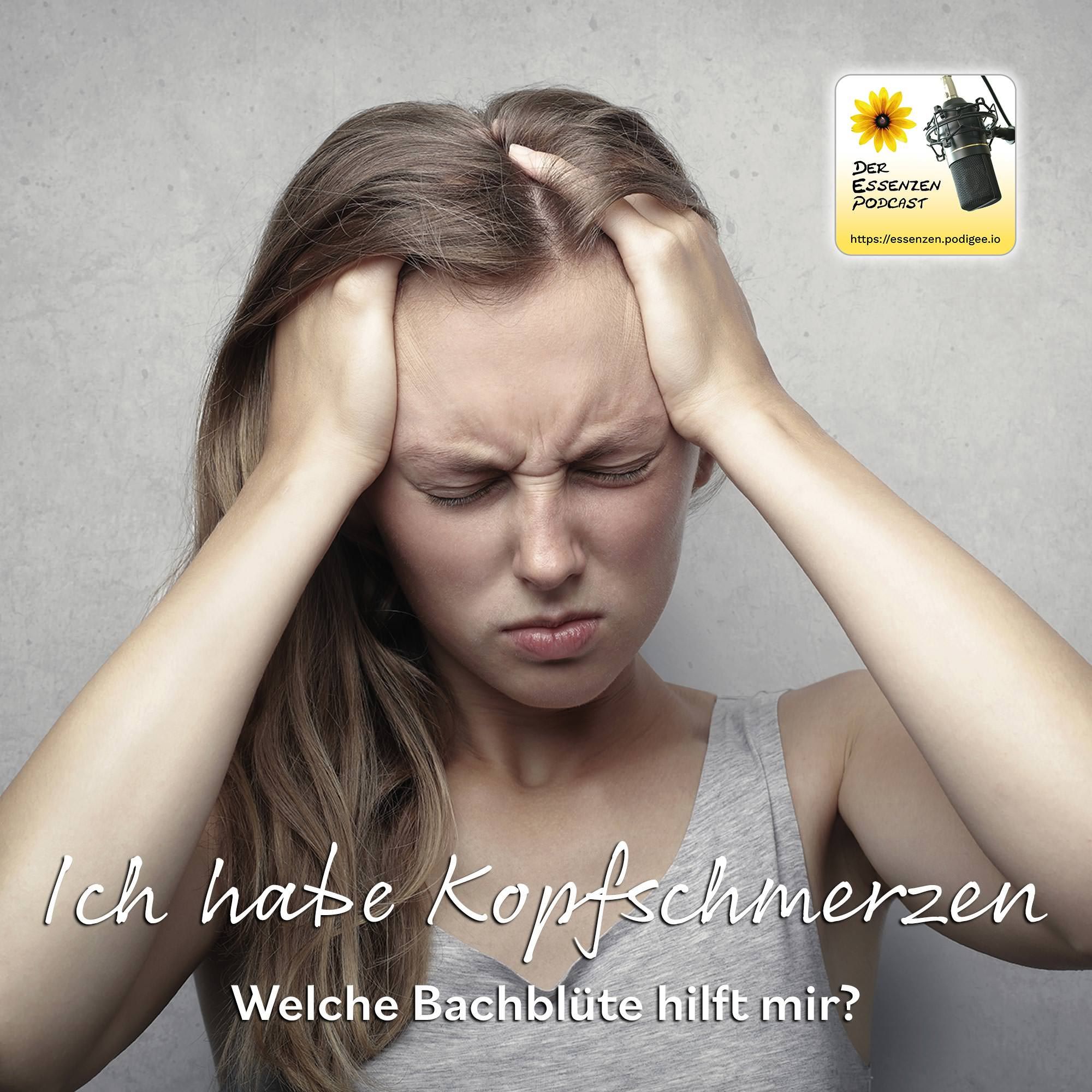 Ich habe Kopfschmerzen. Welche Bachblüte hilft mir?