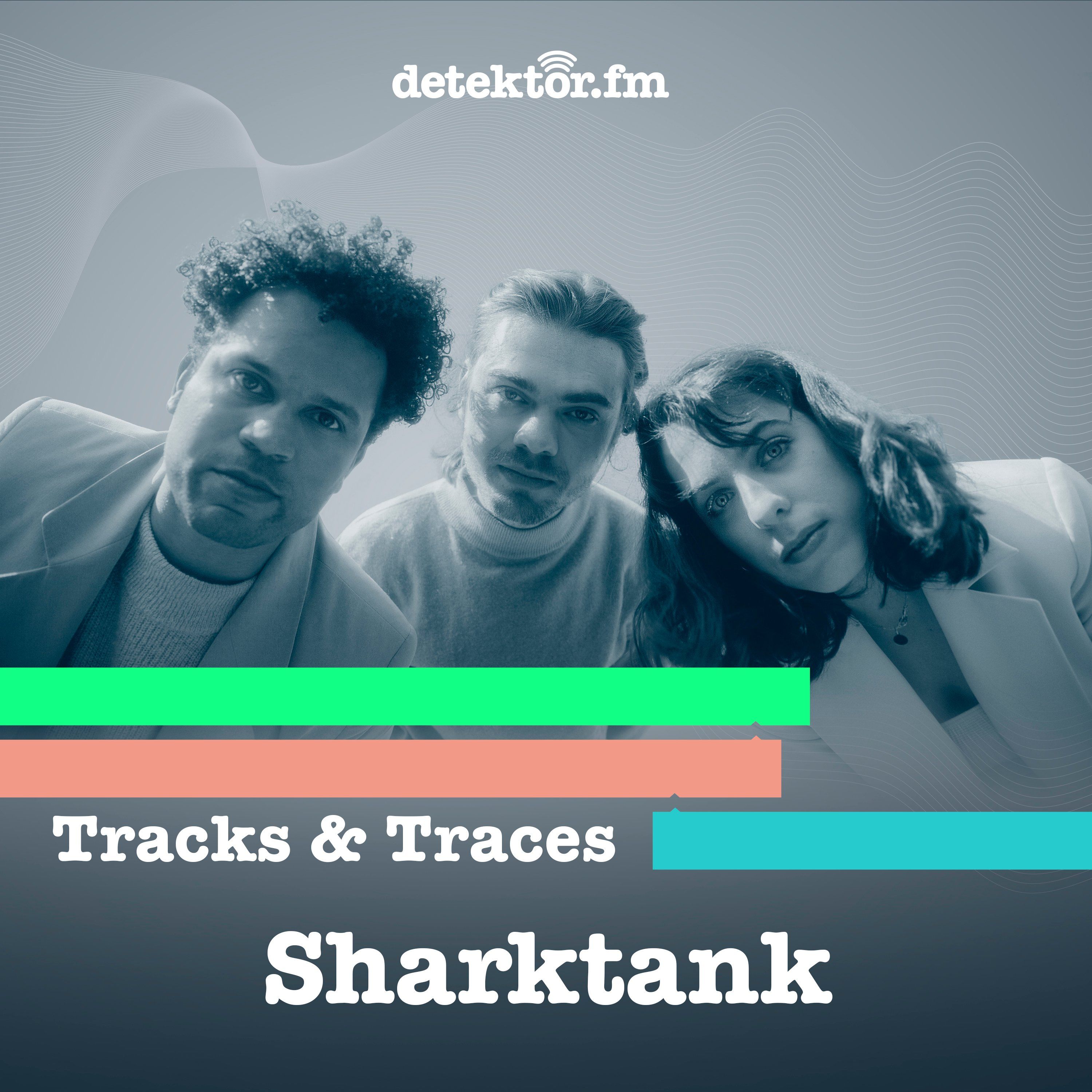 Sharktank – Busy