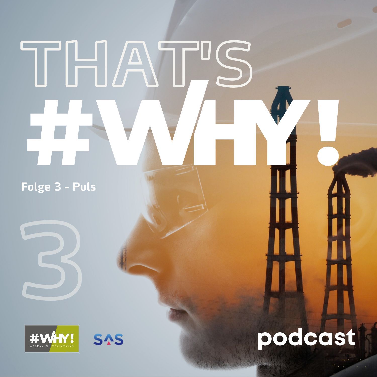 That's WHY! Folge 3 - Puls