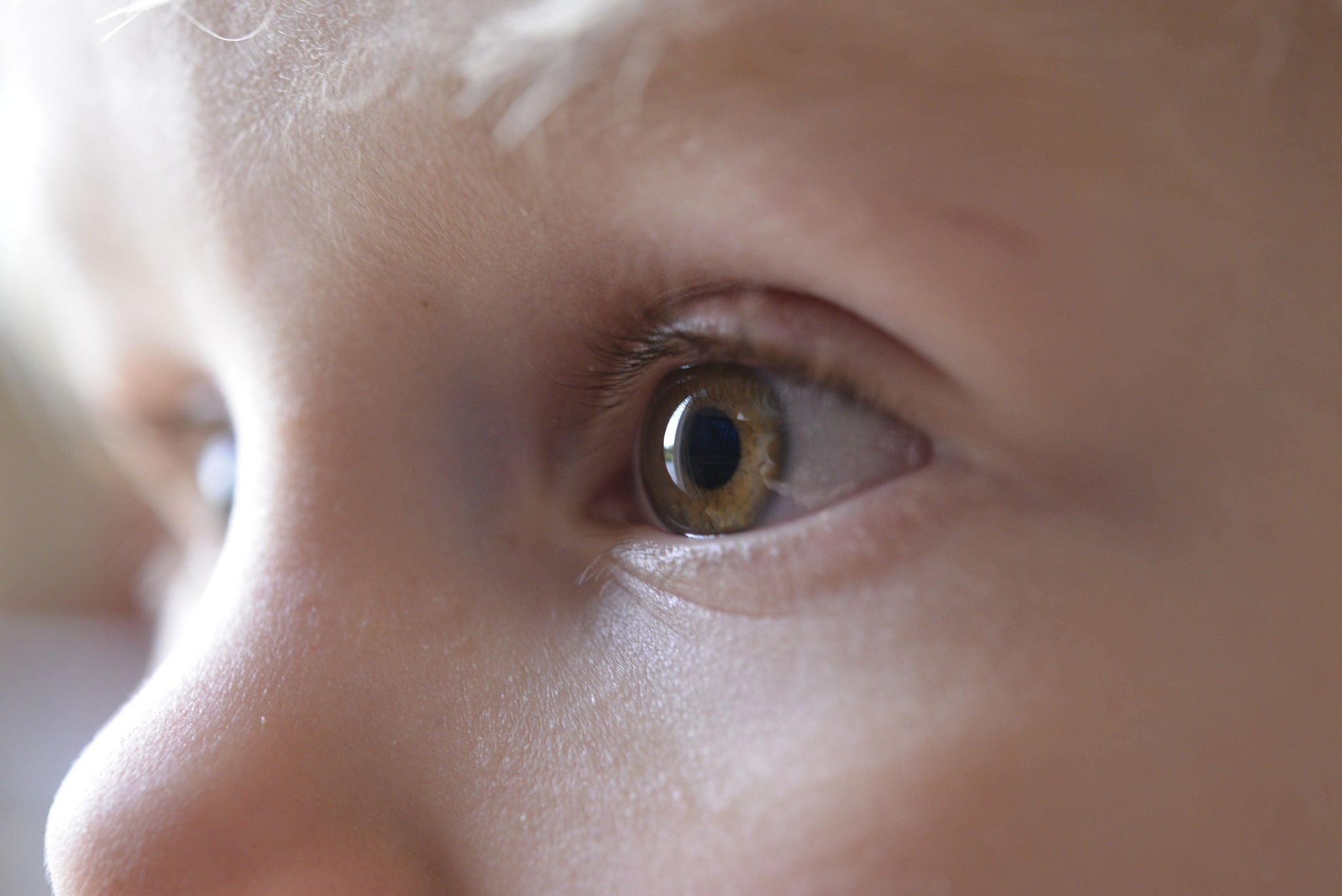 Neues augenförmiges TV-Gerät verhindert, dass Kinder viereckige Augen bekommen