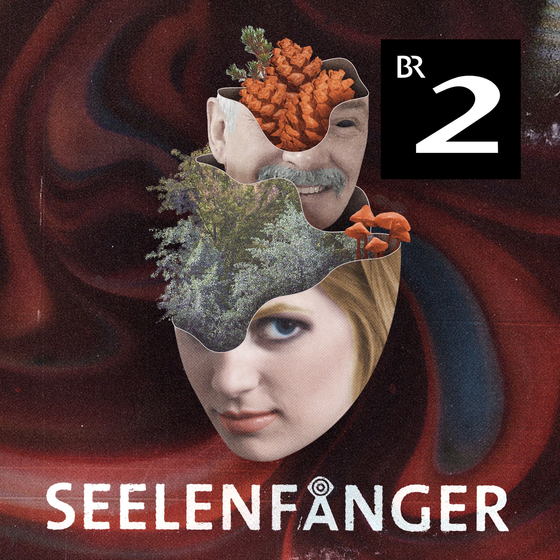 #04 Der Anastasia-Kult: Gegengift