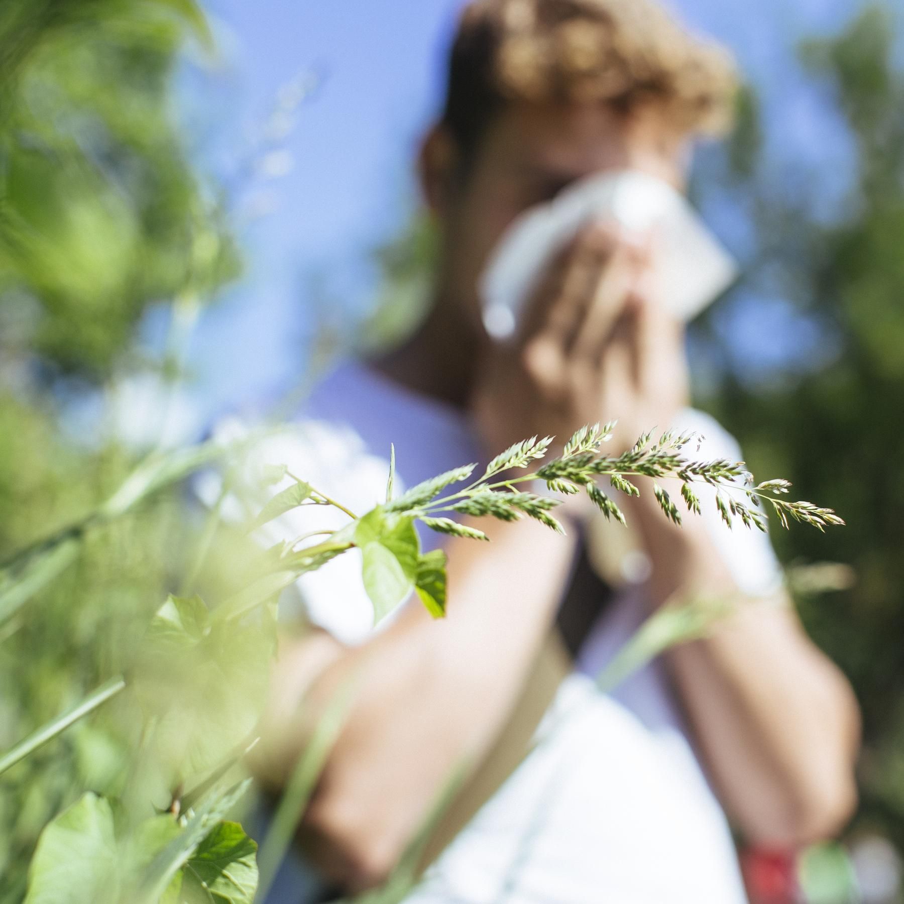 Pollenallergie - Die Natur als Feind?