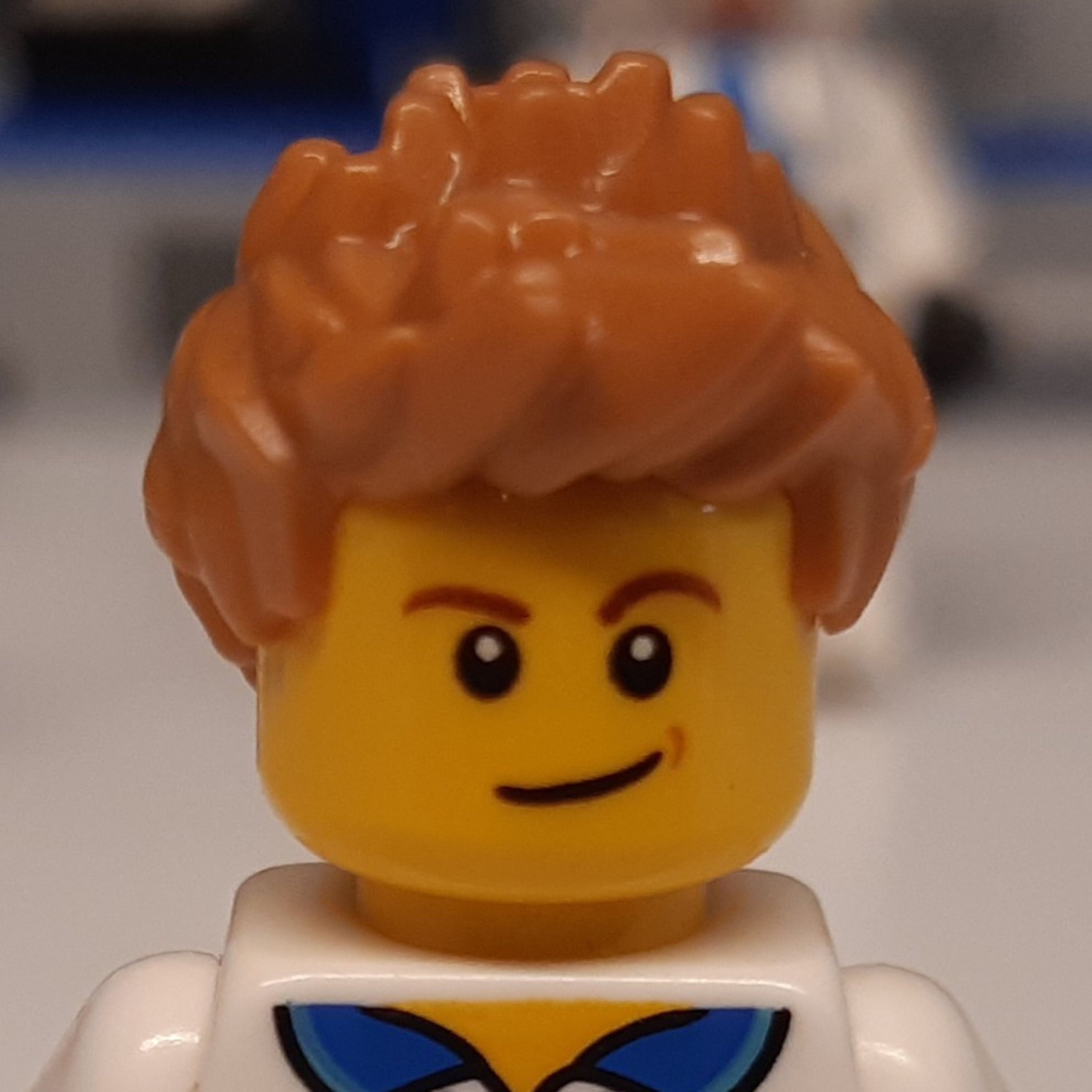 Das neue LEGO IDEAS Set!!!
