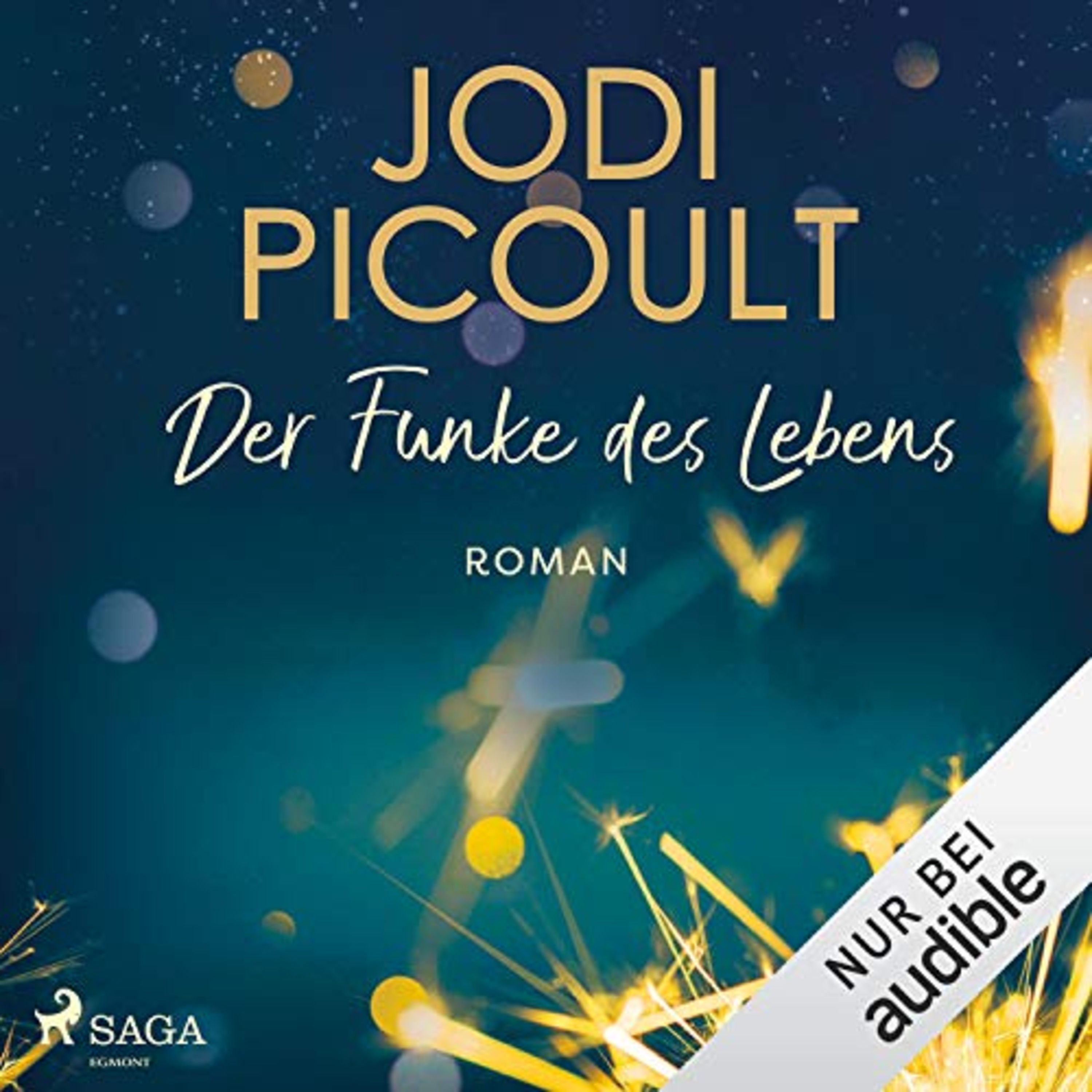 Hörbuch-Tipp: "Der Funke des Lebens" von Jodi Picoult