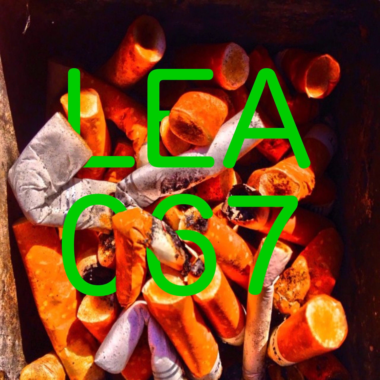 Episode #67: Alles Asche