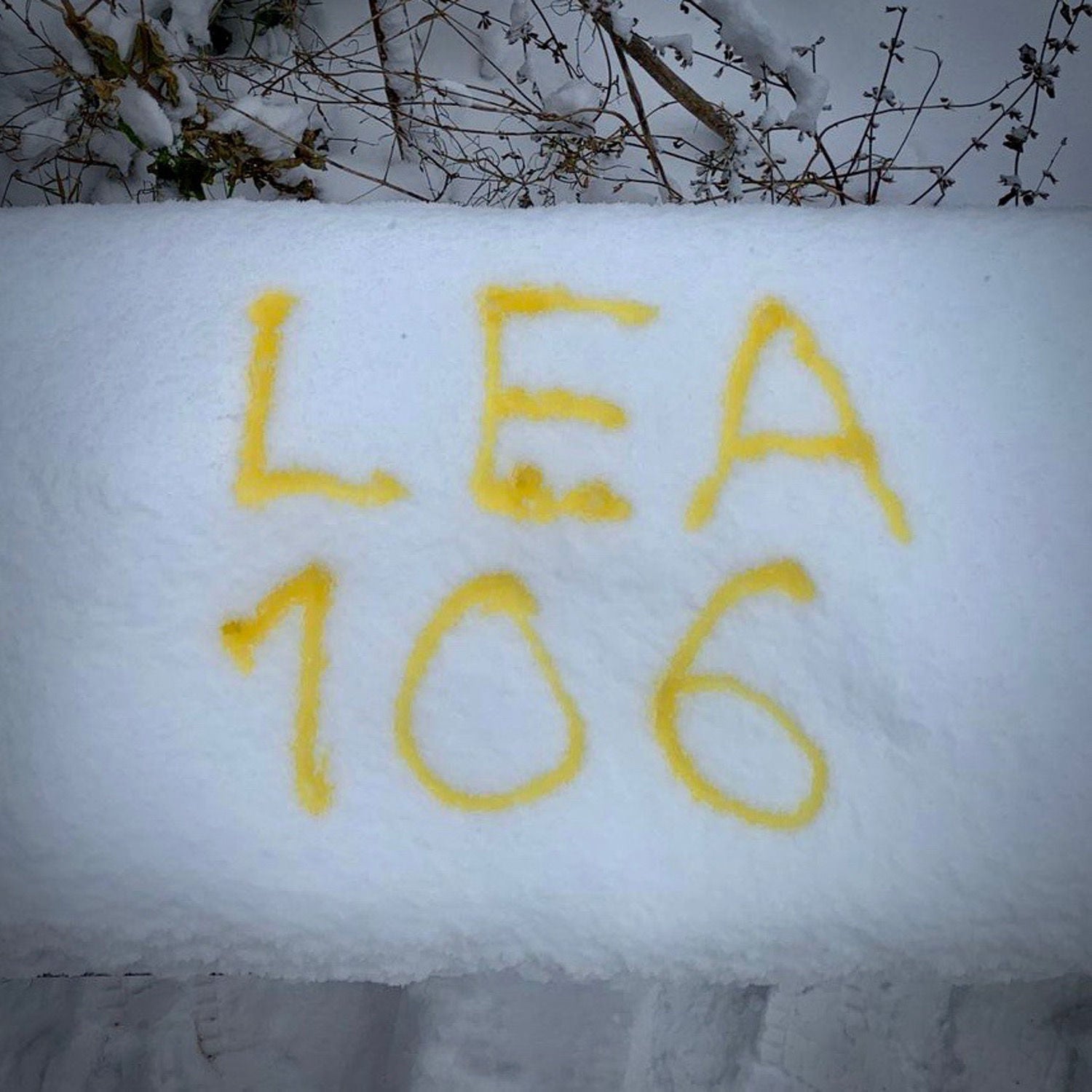 Episode #106: Yellow Snow