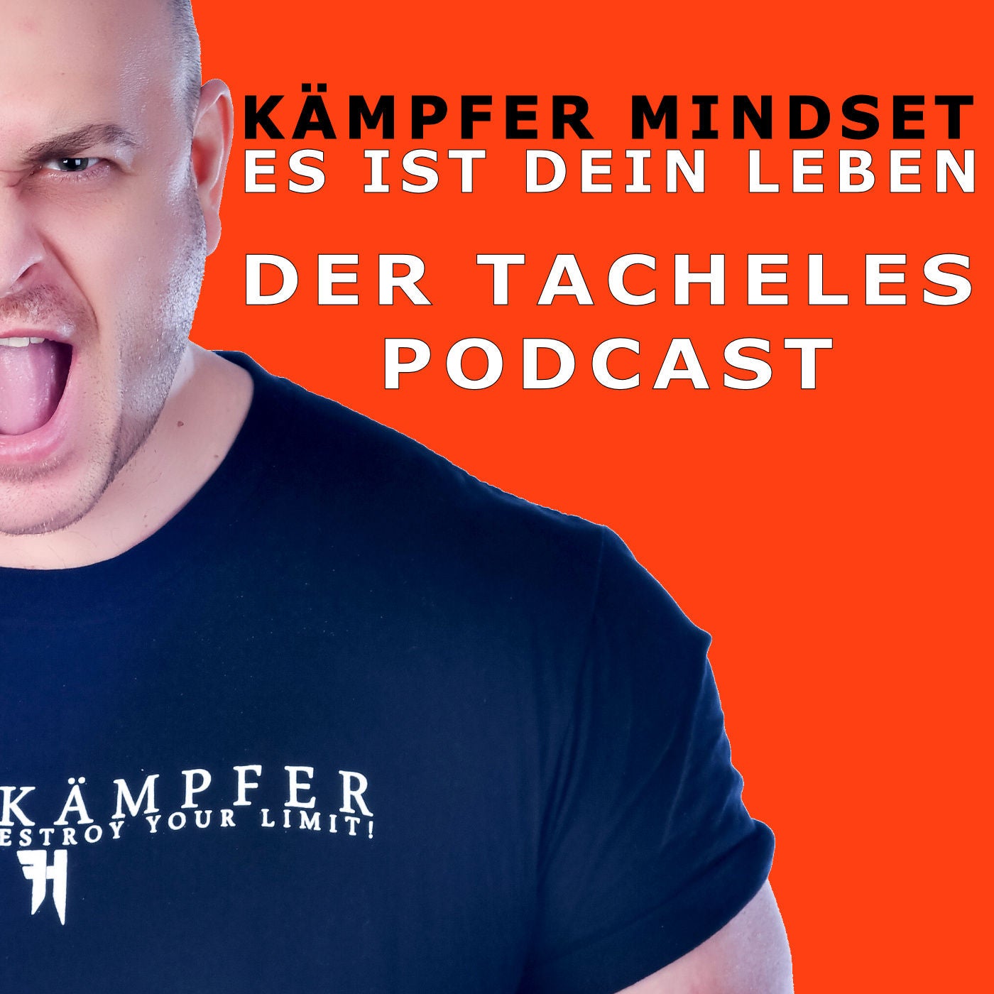 Kämpfer Mindset