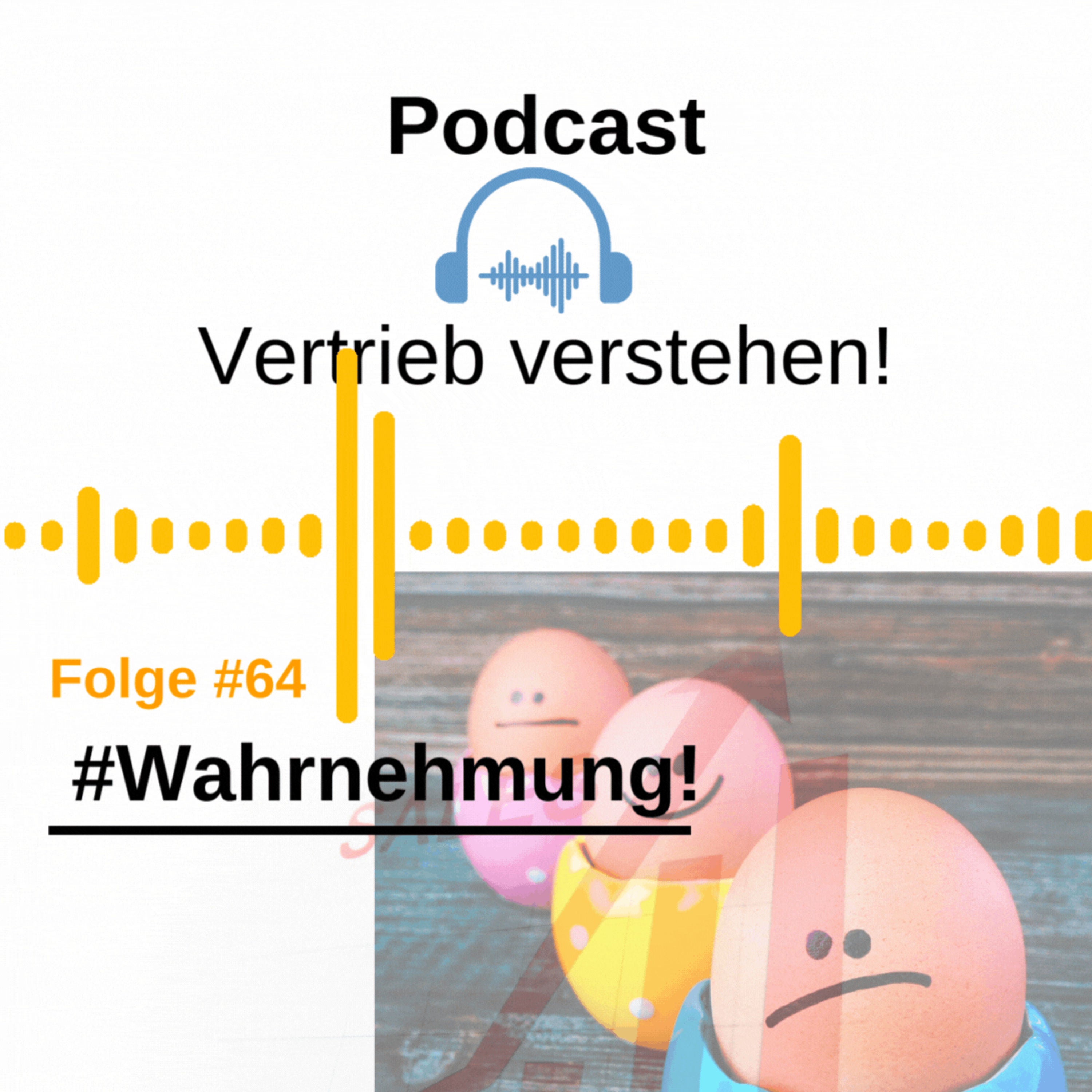 #64 Wie die Wahrnehmung Situationen steuern kann.