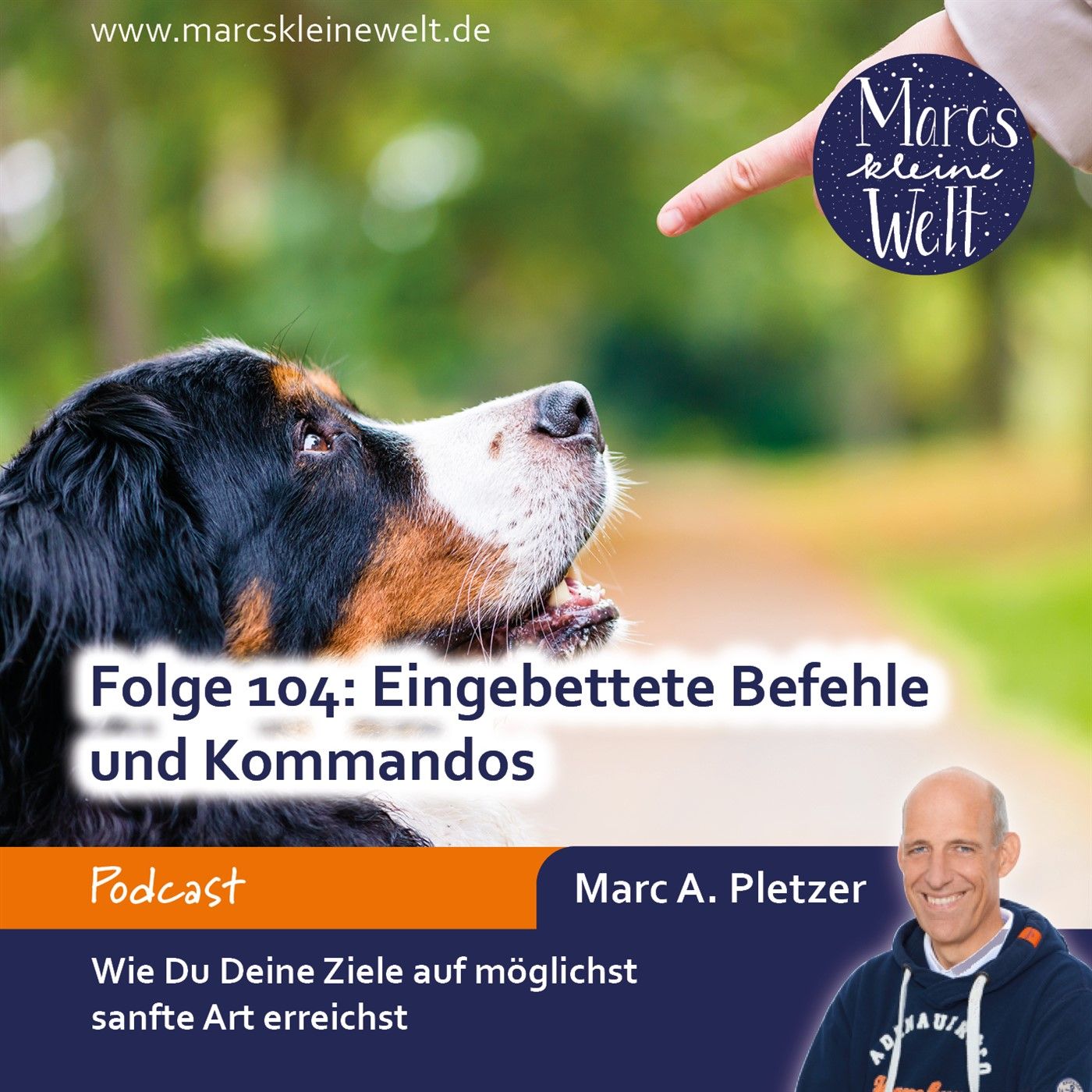 Eingebettete Befehle und Kommandos (104)