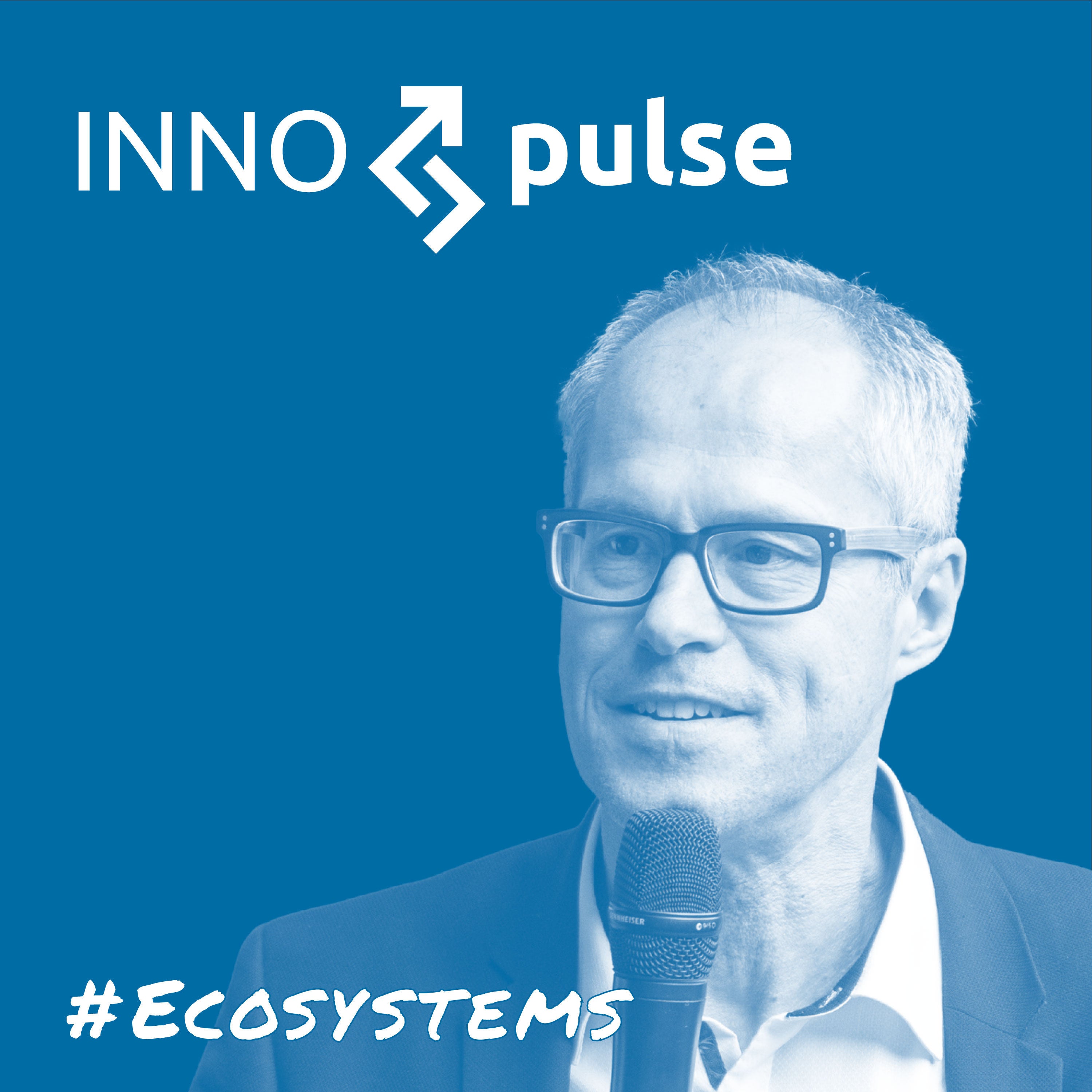 Wie funktionieren regionale Innovationsökosysteme? Community as a Service am Beispiel von CODE_n GmbH