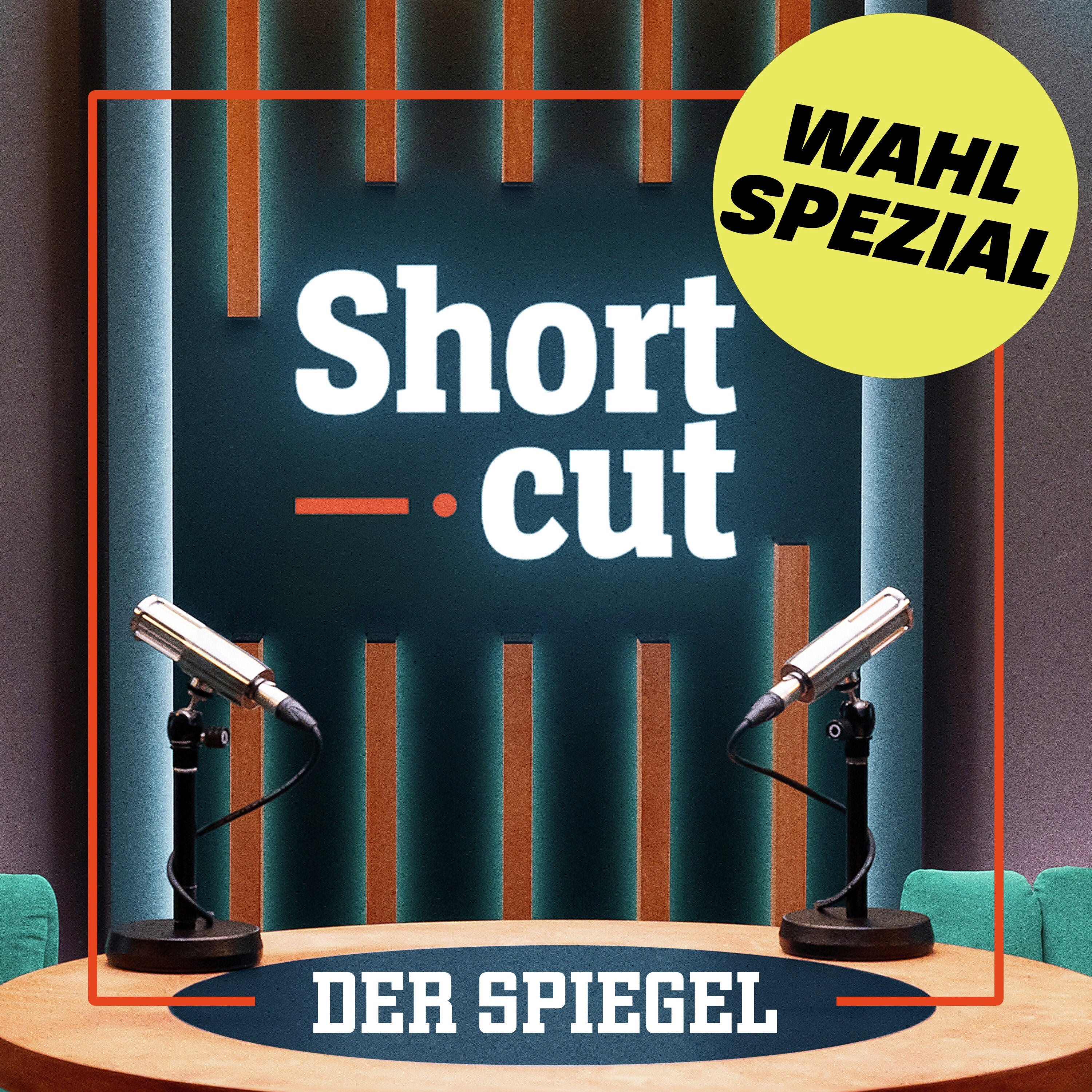 AfD: Das Phantom hinter der Millionenspende