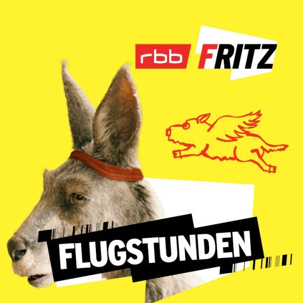 Flugstunden