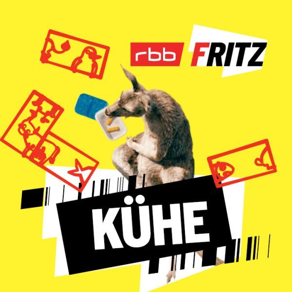Kühe