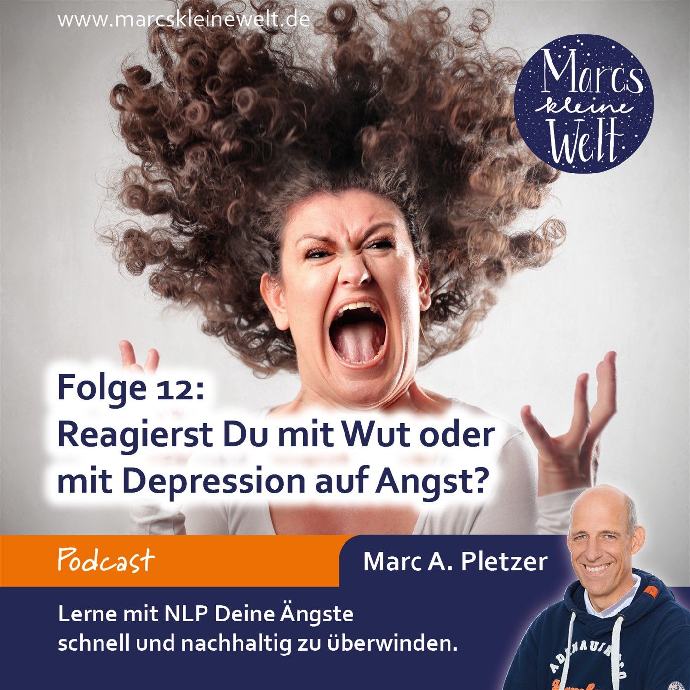 Reagierst Du mit Wut oder mit Depression auf Angst? (12)