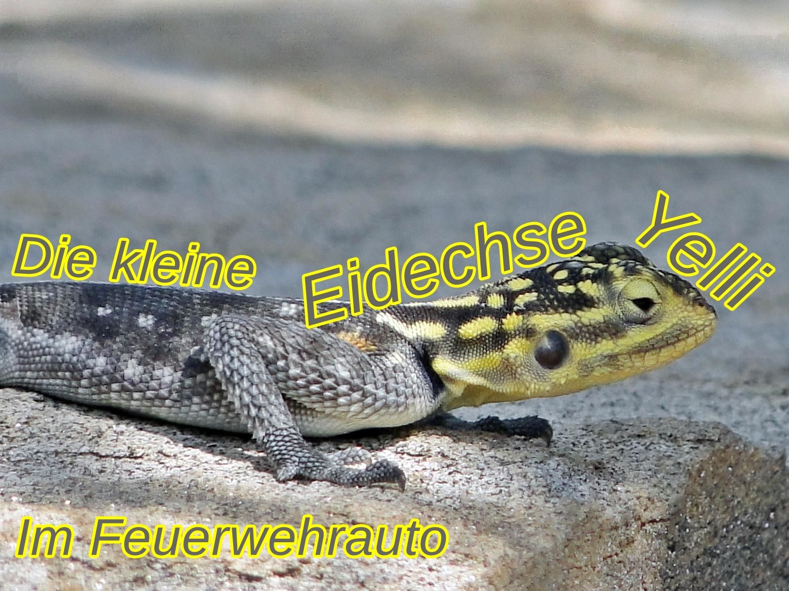 Die kleine Eidechse Yelli - Im Feuerwehrauto