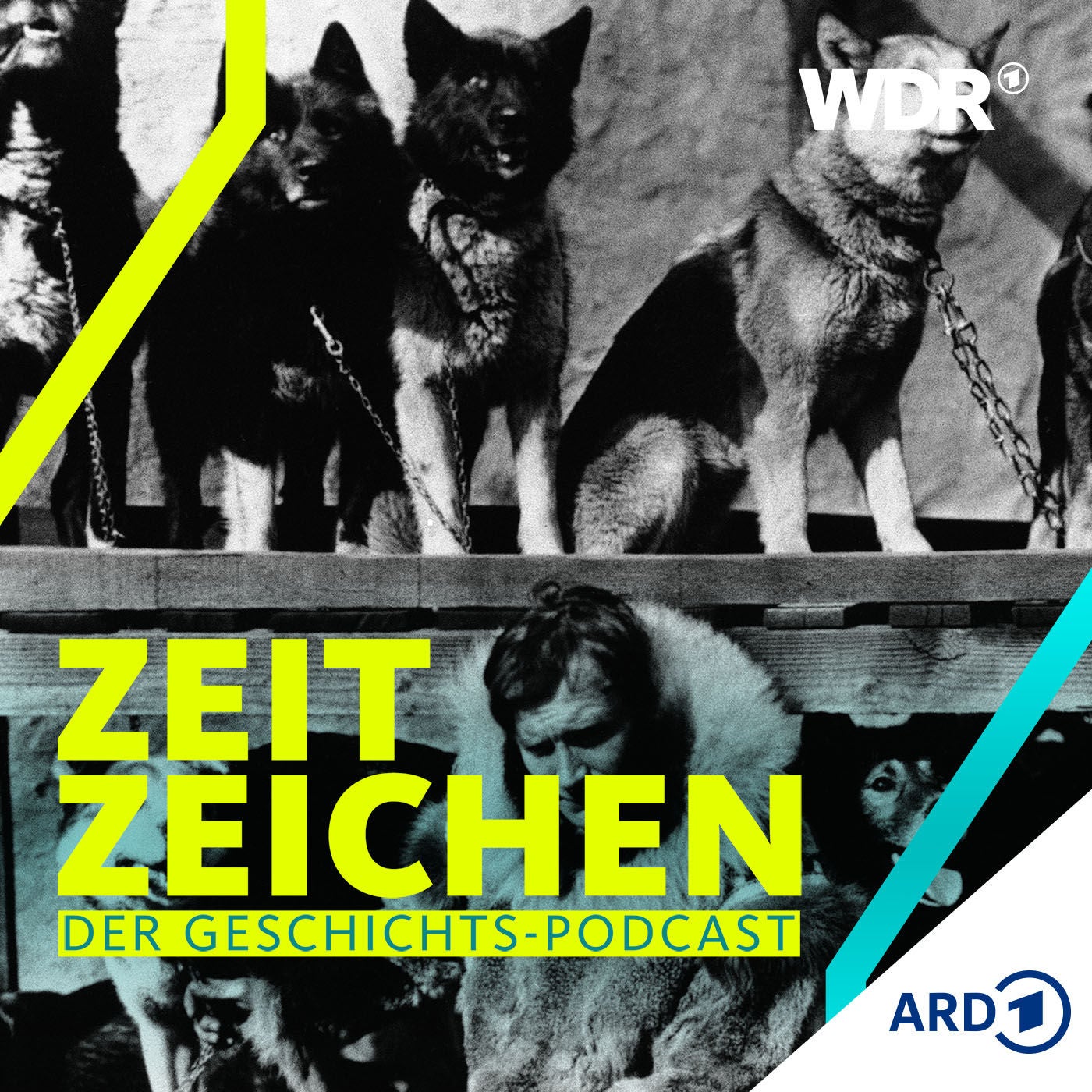 Wie eine Hundeschlittenstaffel eine ganze Stadt rettete