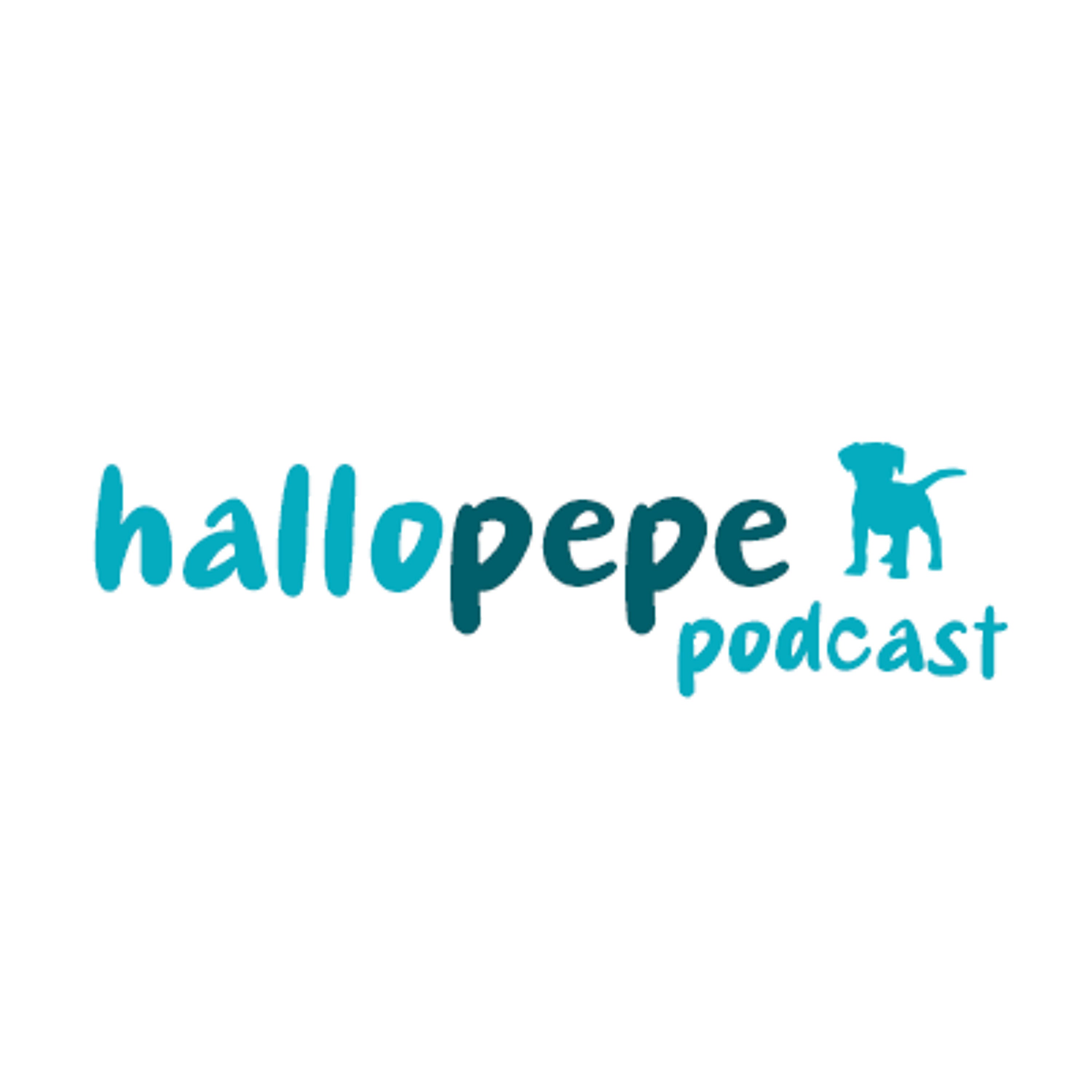 hallopepe Podcast #4 - Welpe abholen für Anfänger