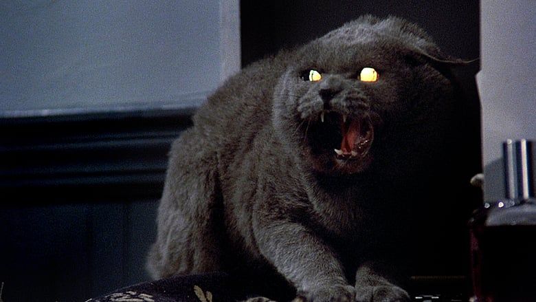 Hate Cast #7: Friedhof der Kuscheltiere (1989)