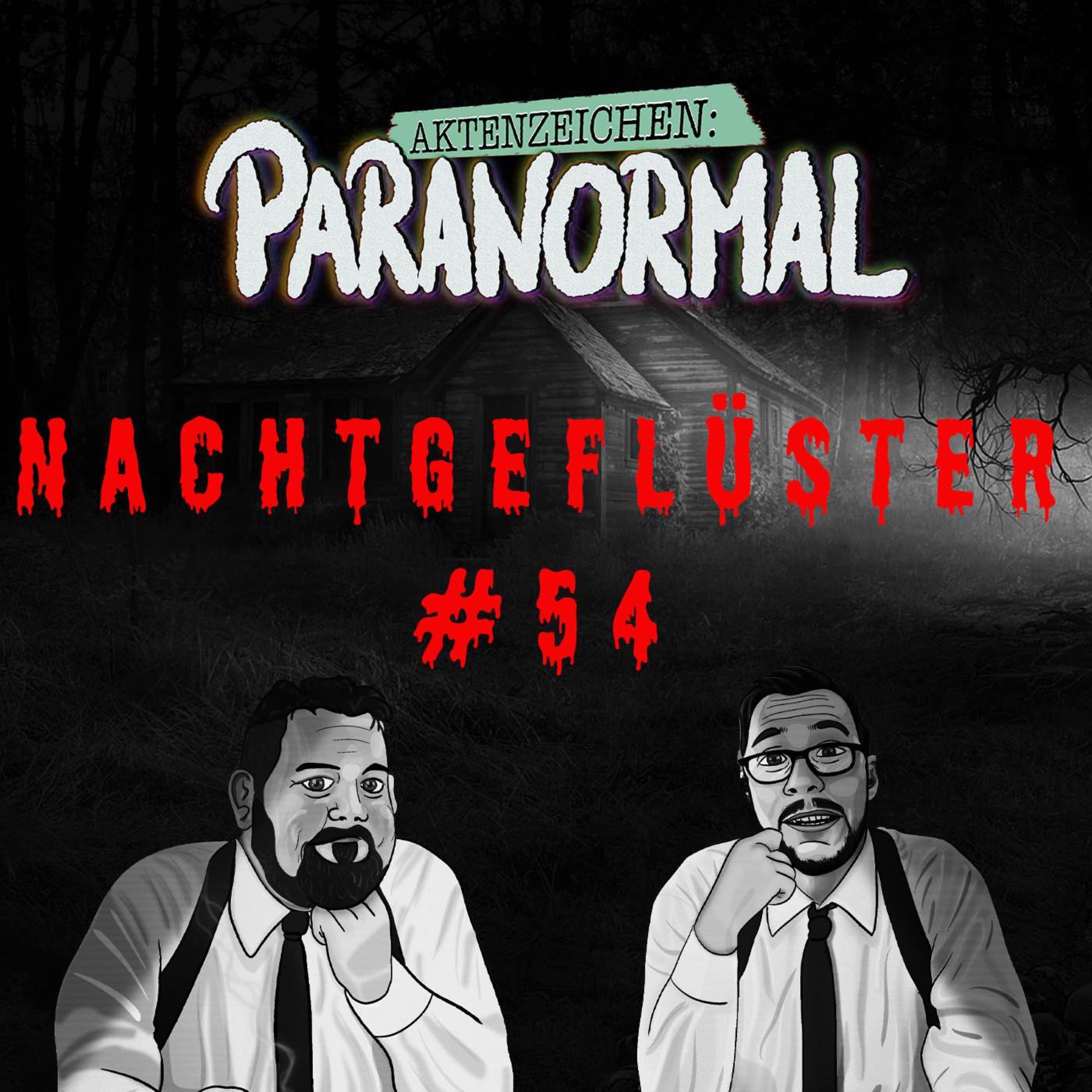 Aktenzeichen Nachtgeflüster #54: Erlebnisse der Community