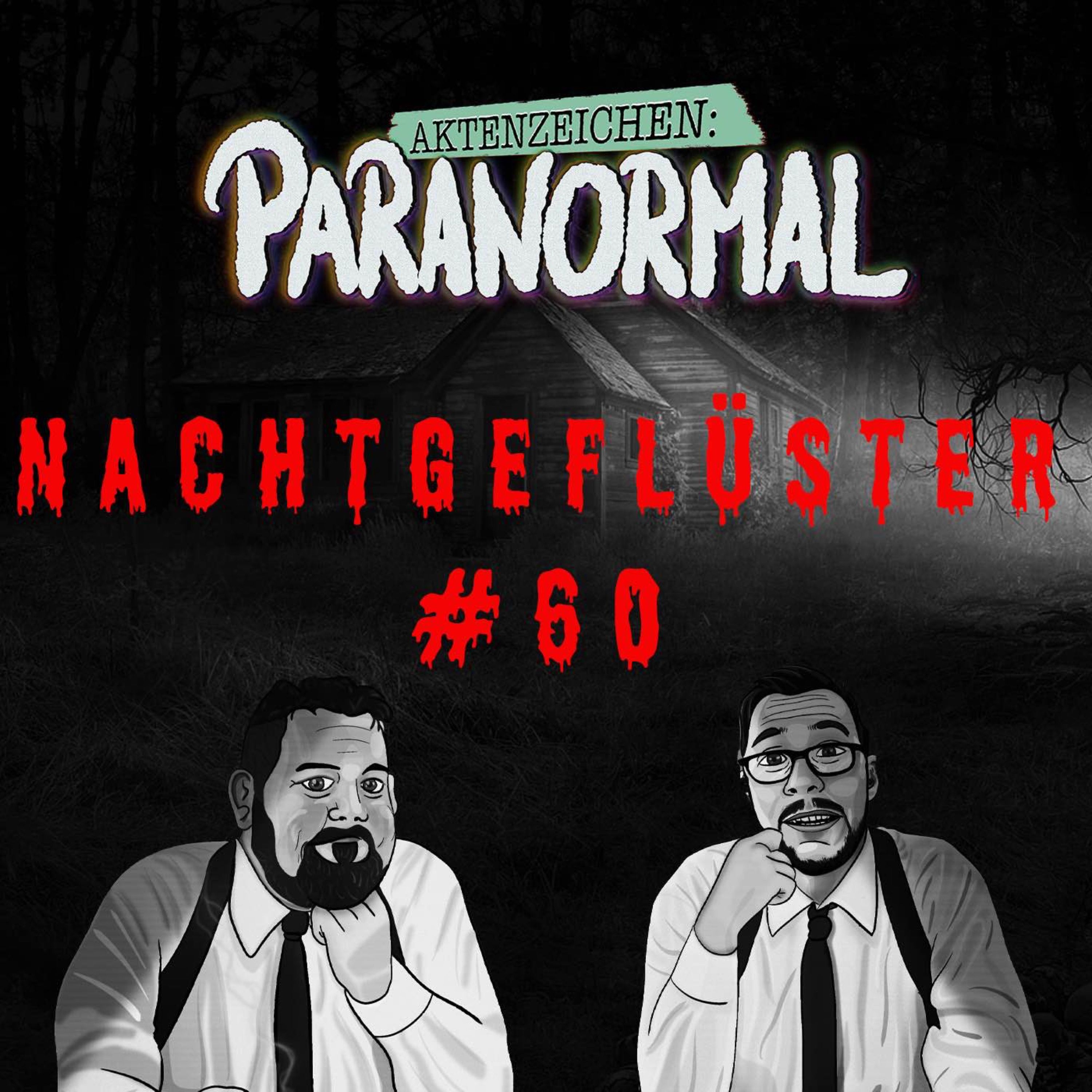 Aktenzeichen Nachtgeflüster #60 - Geschichten der Community