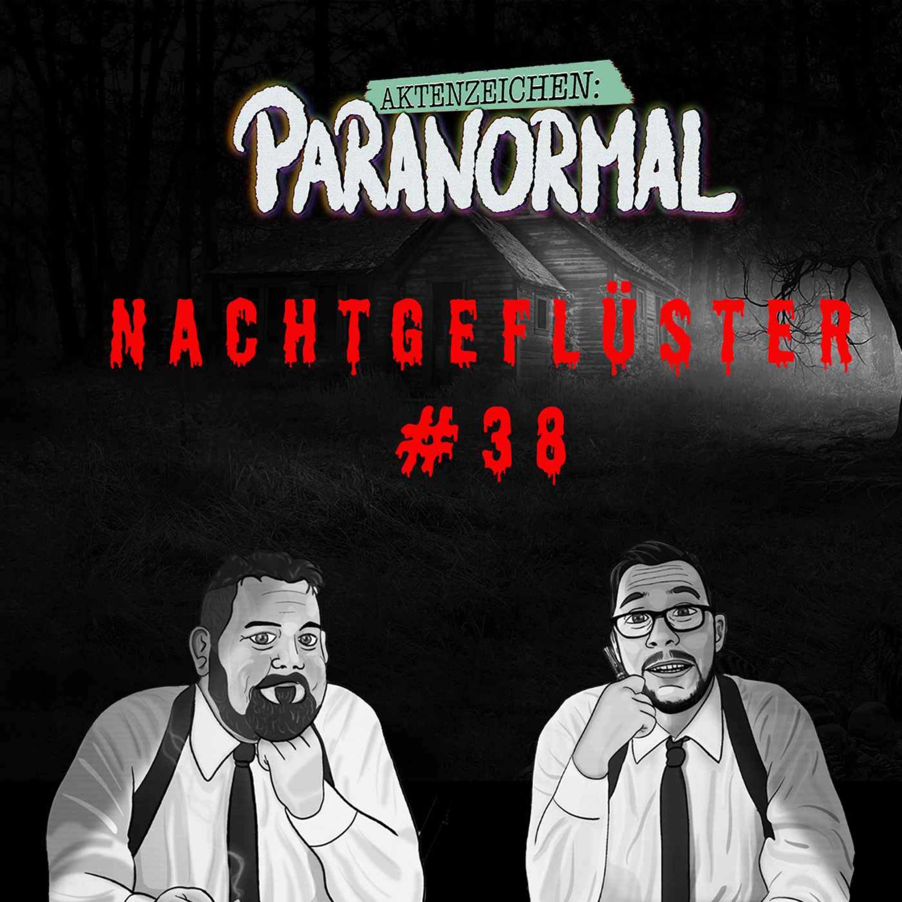Aktenzeichen Nachtgeflüster #38:Hajo, der ewige Student und Erlebnisse der Community