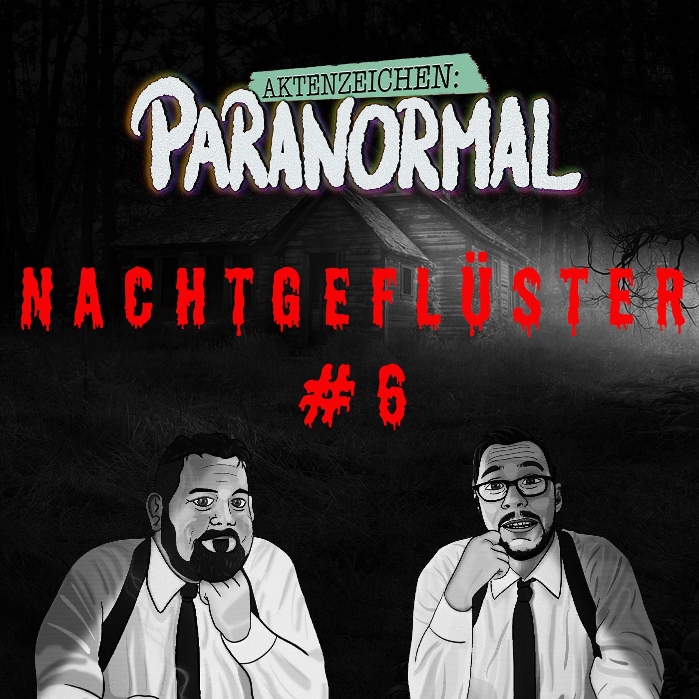 Aktenzeichen Nachtgeflüster #6 Hörergeschichte von Christian