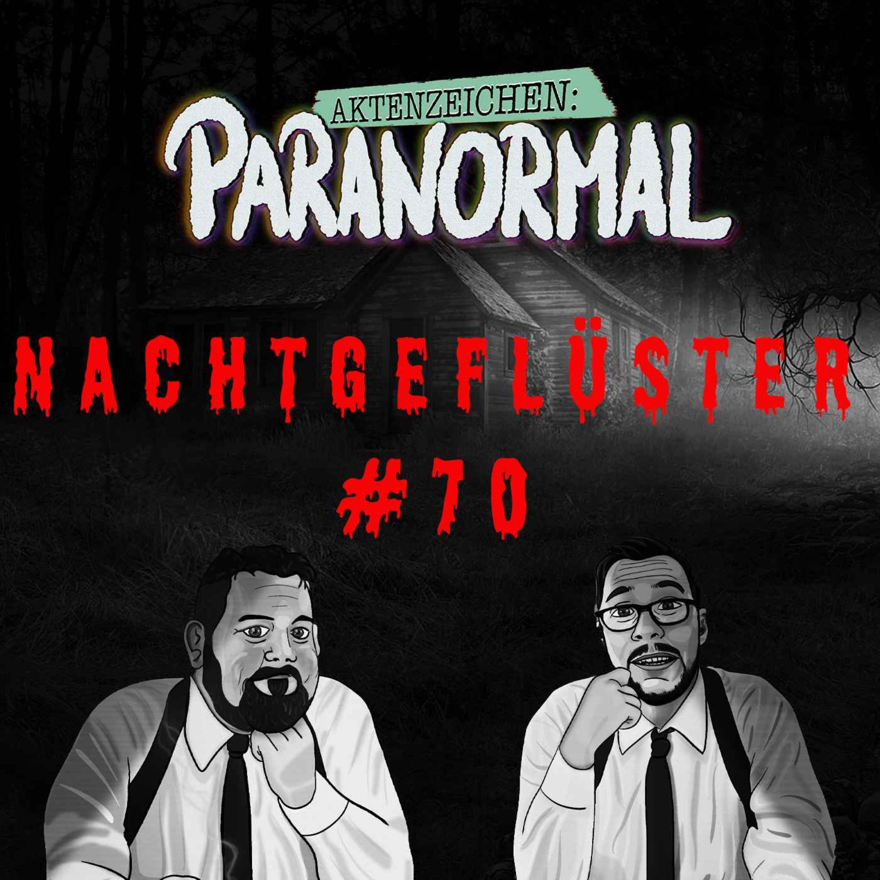 Aktenzeichen Nachtgeflüster #70 Erlebnisse der Community