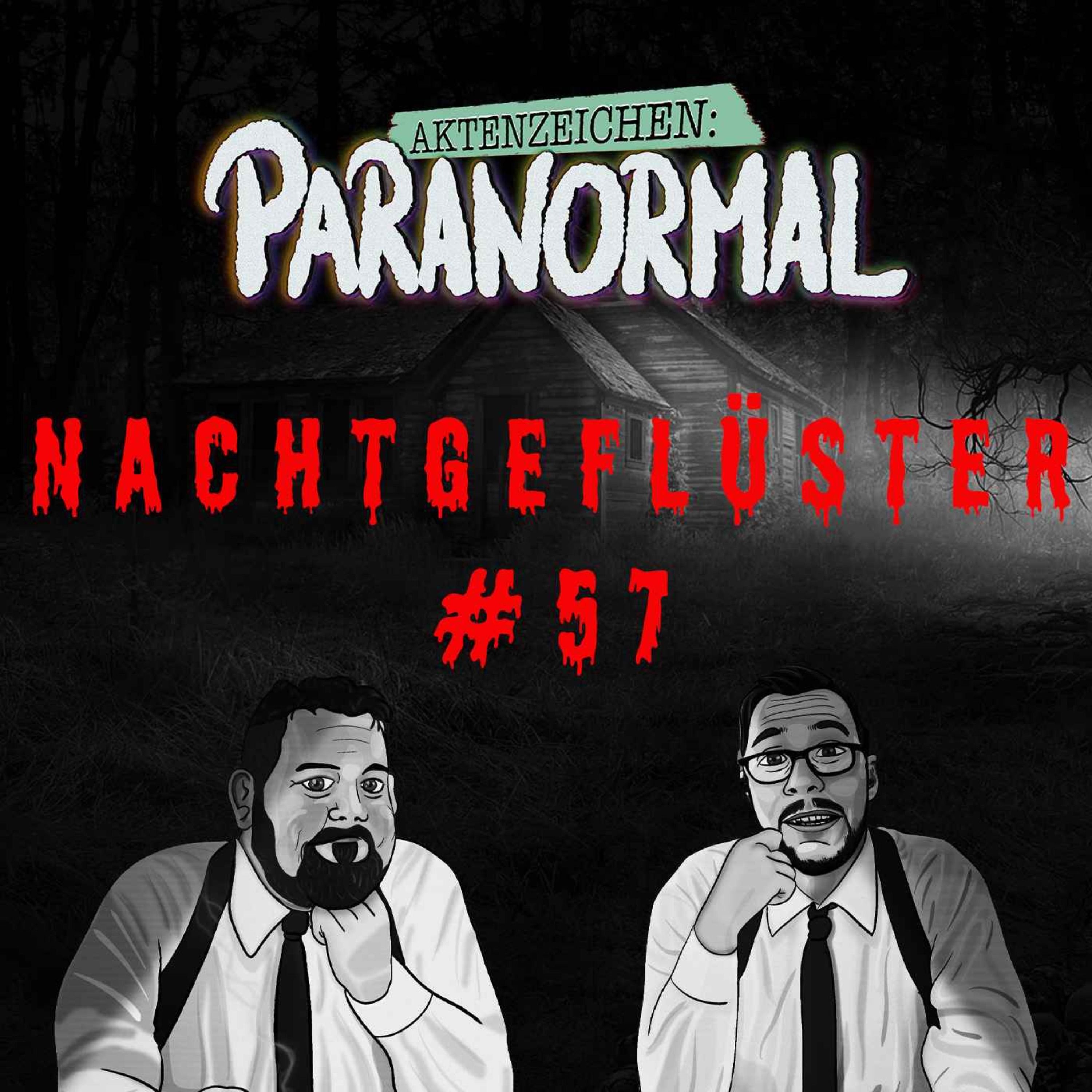 Aktenzeichen Nachtgeflüster #57: Erlebnisse der Community