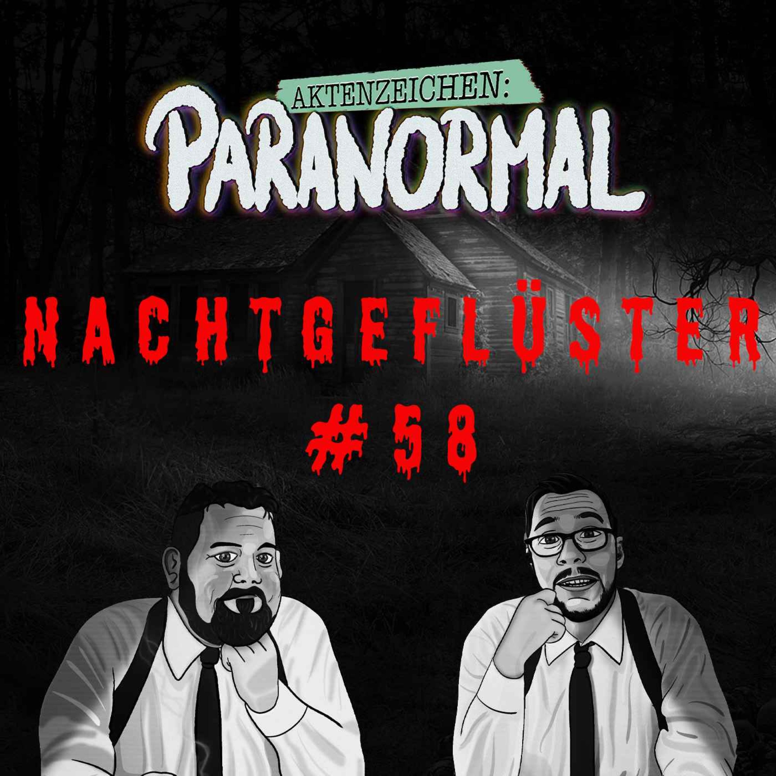 Aktenzeichen Nachtgeflüster #58: Erlebnisse der Community