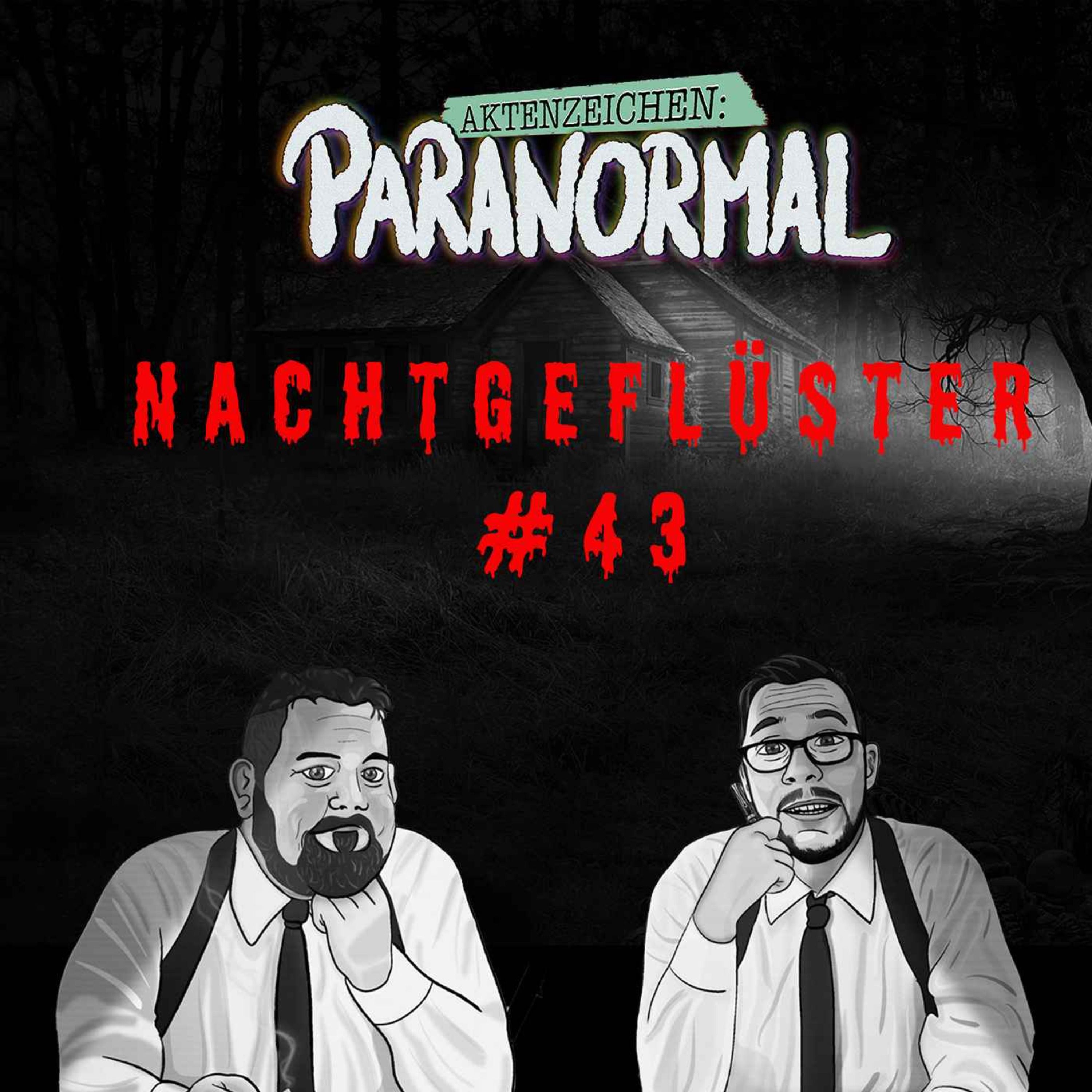 Aktenzeichen Nachtgeflüster #43: Erlebnisse der Community