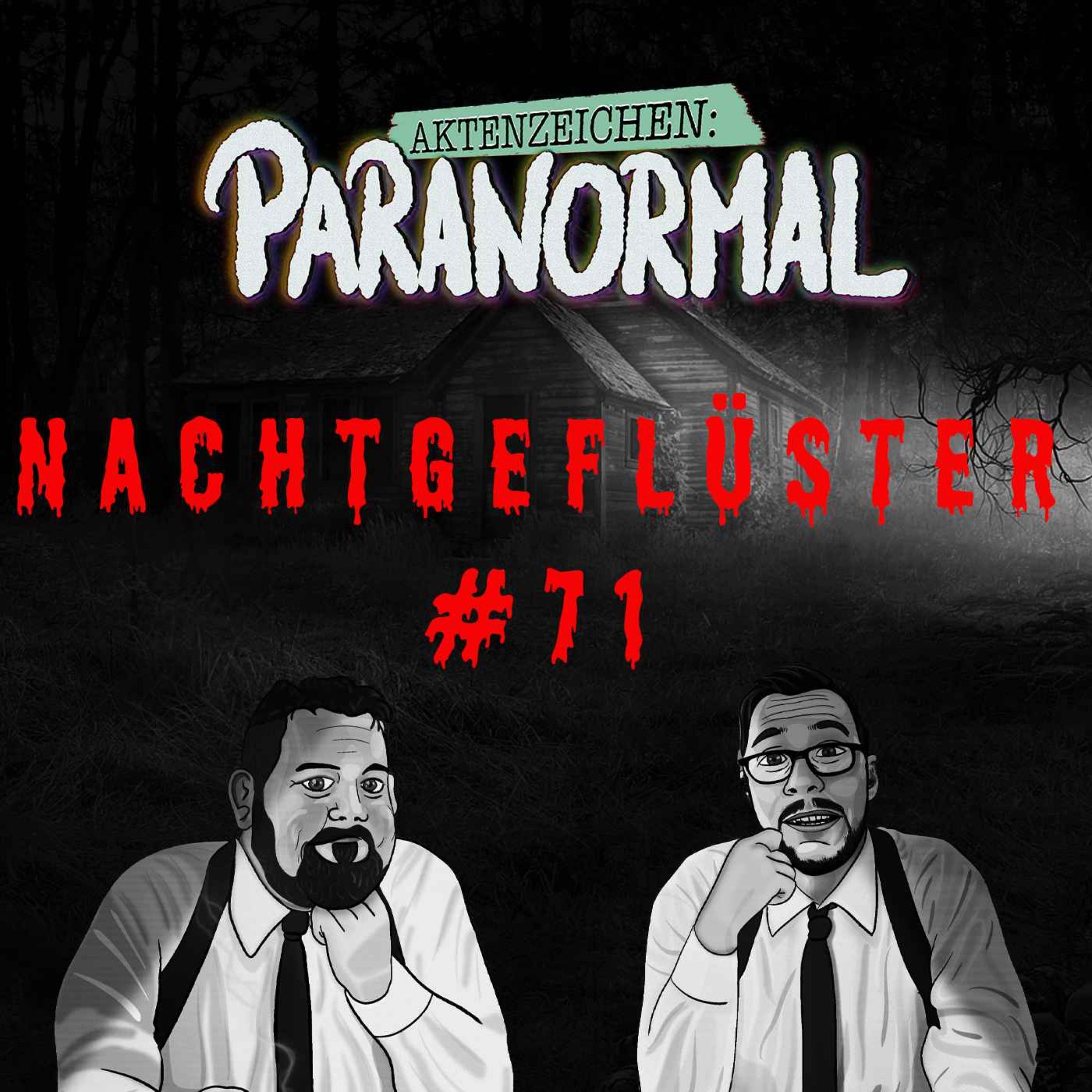Aktenzeichen Nachtgeflüster #71: Erlebnisse der Community