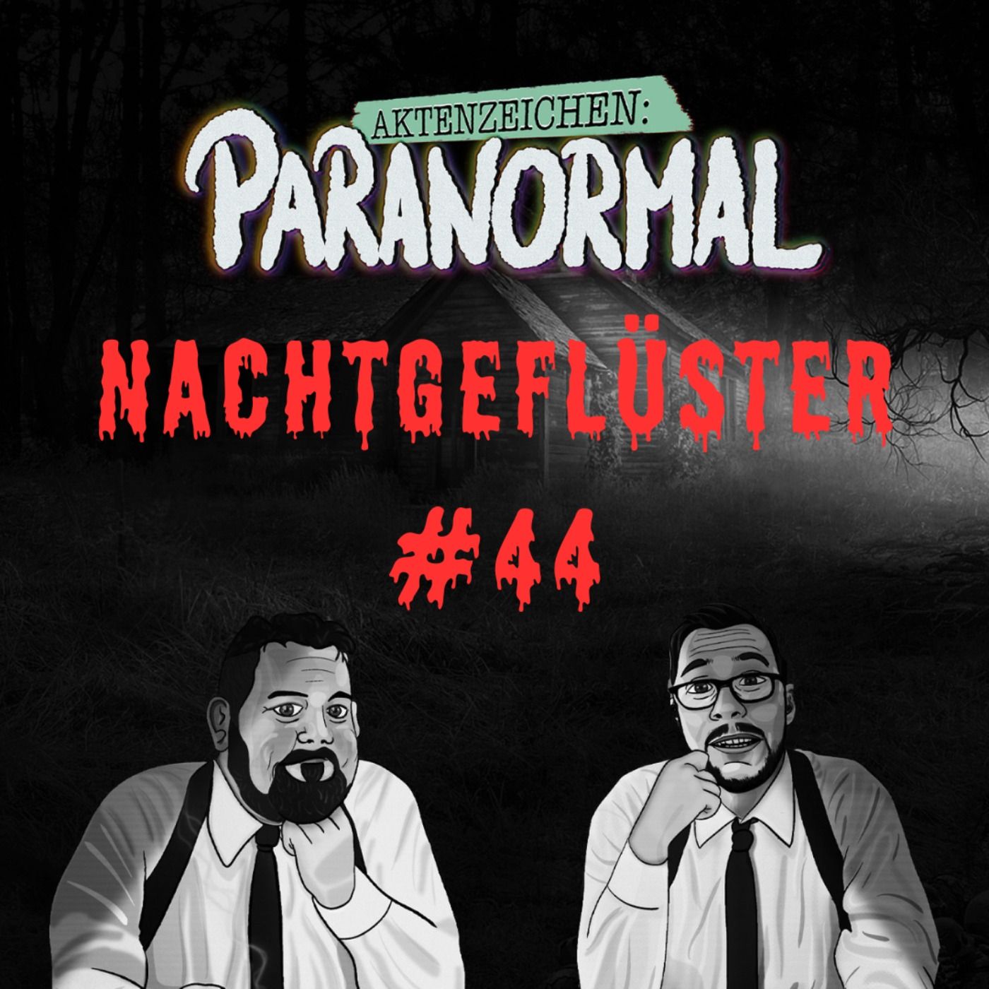 Aktenzeichen Nachtgeflüster #44: Erlebnisse der Community