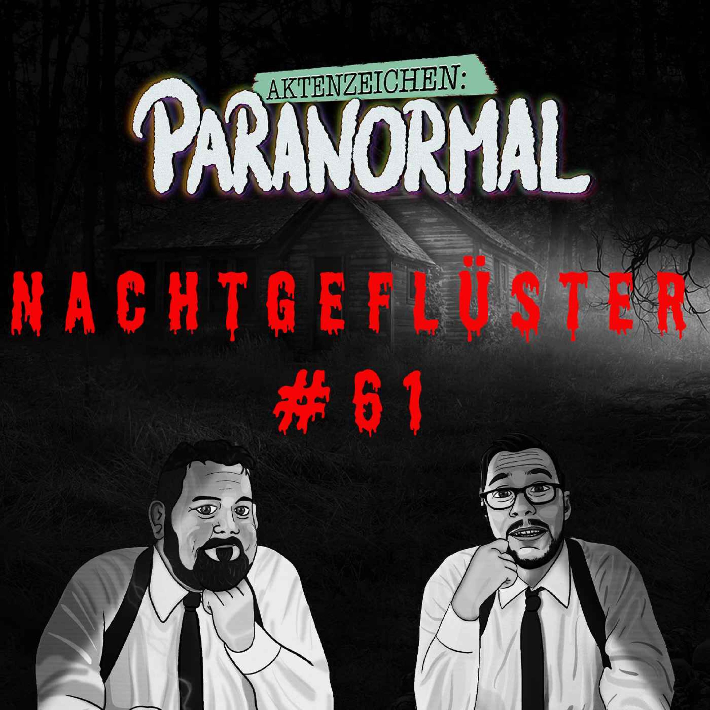 Aktenzeichen Nachtgeflüster #61: Erlebnisse der Community