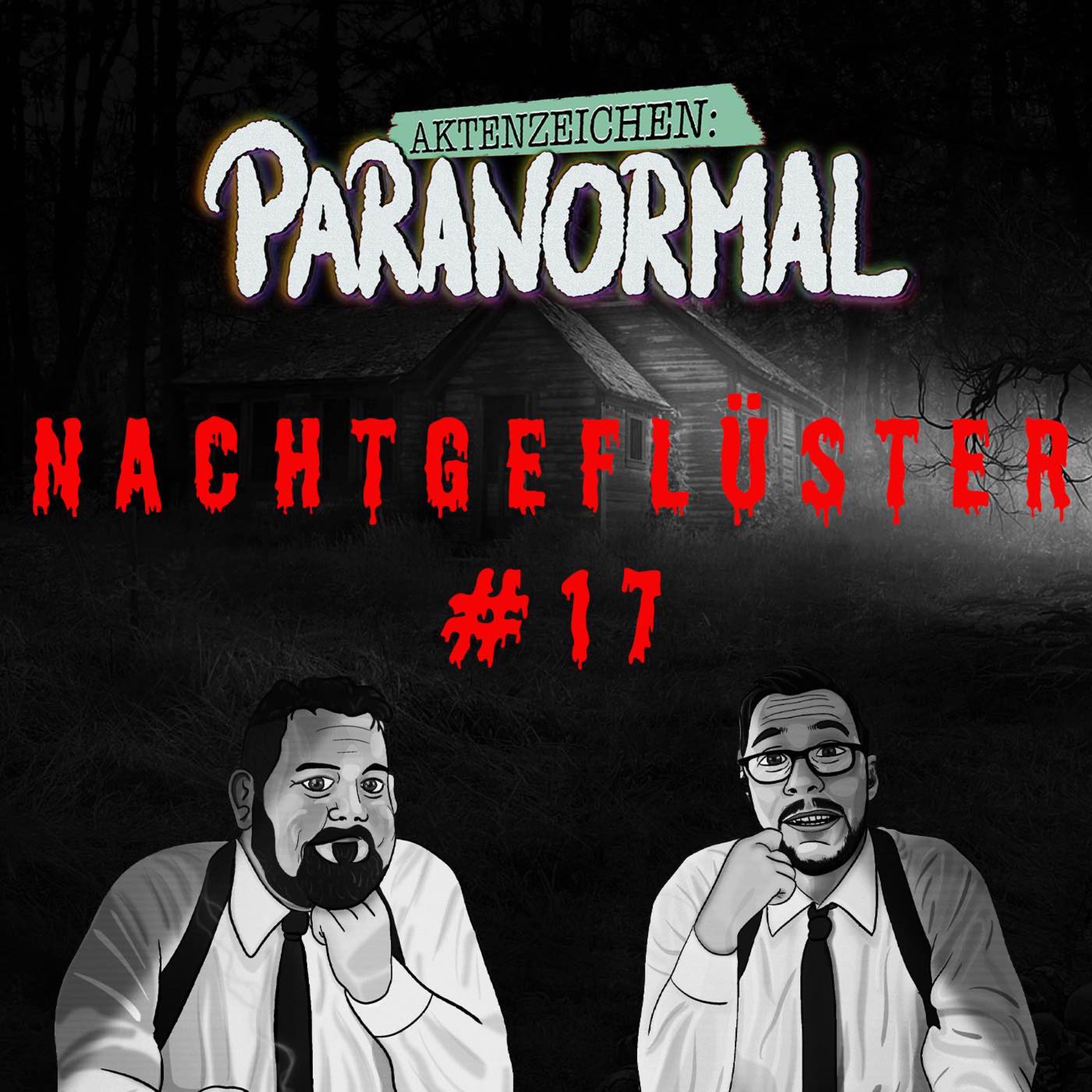 Nachtgeflüster 17 - Eure Erlebnisse