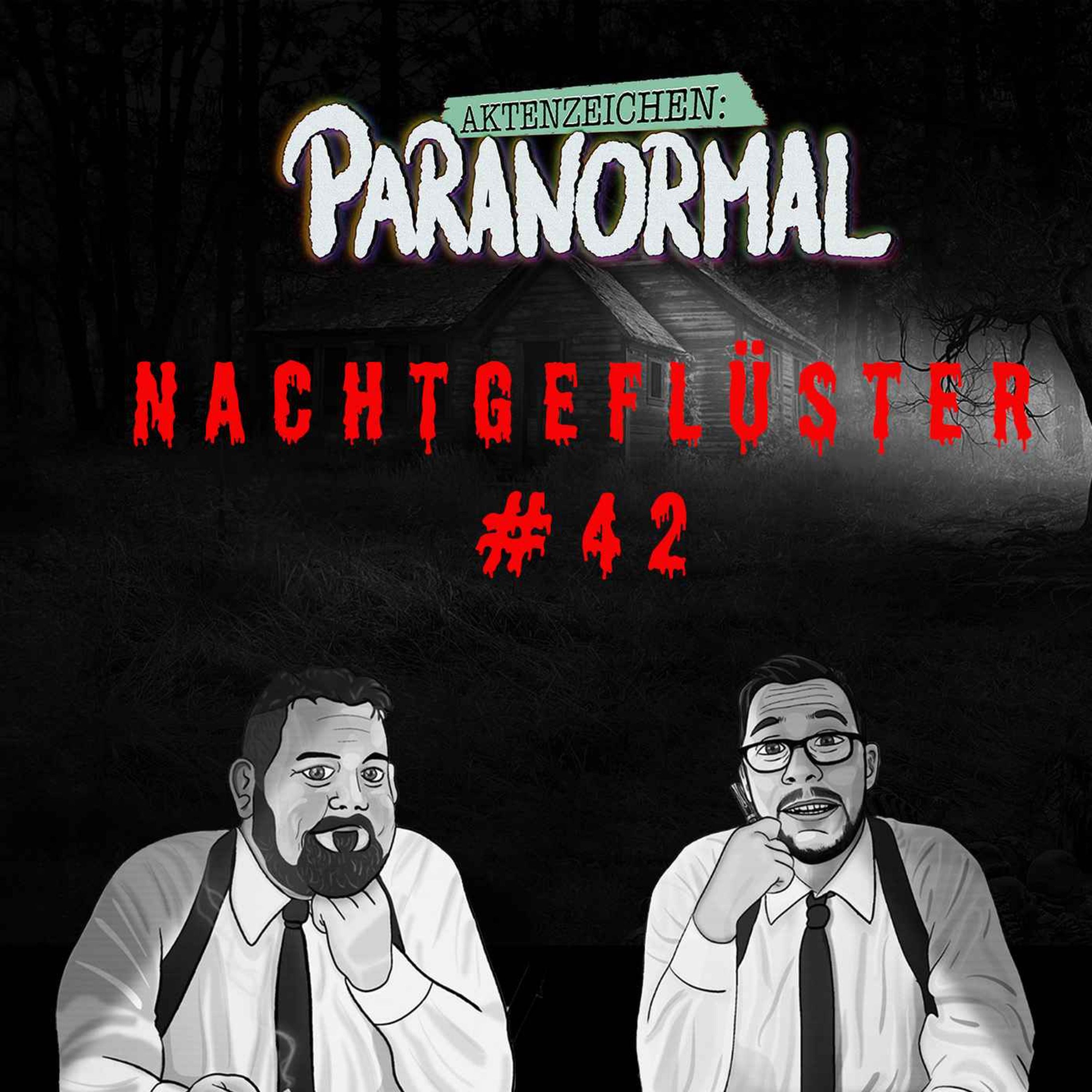 Aktenzeichen Nachtgeflüster #42: Erlebnisse der Community
