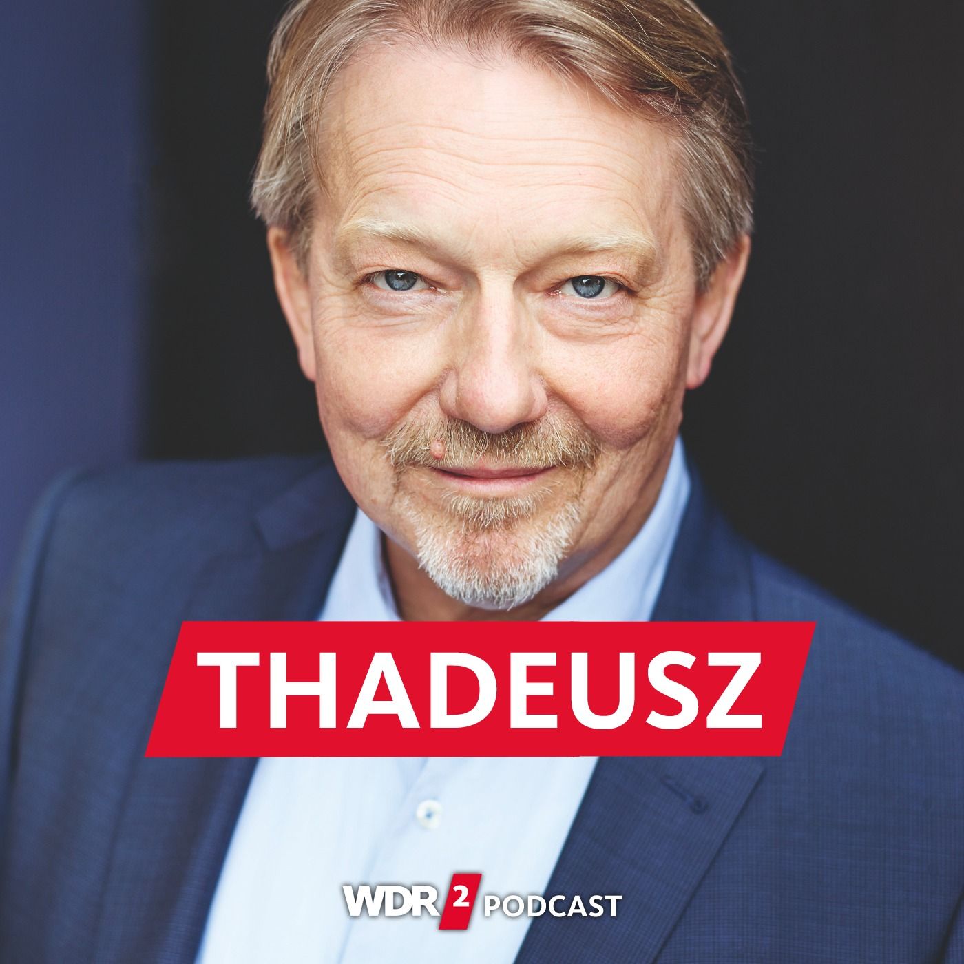 Dietmar Wischmeyer, Autor